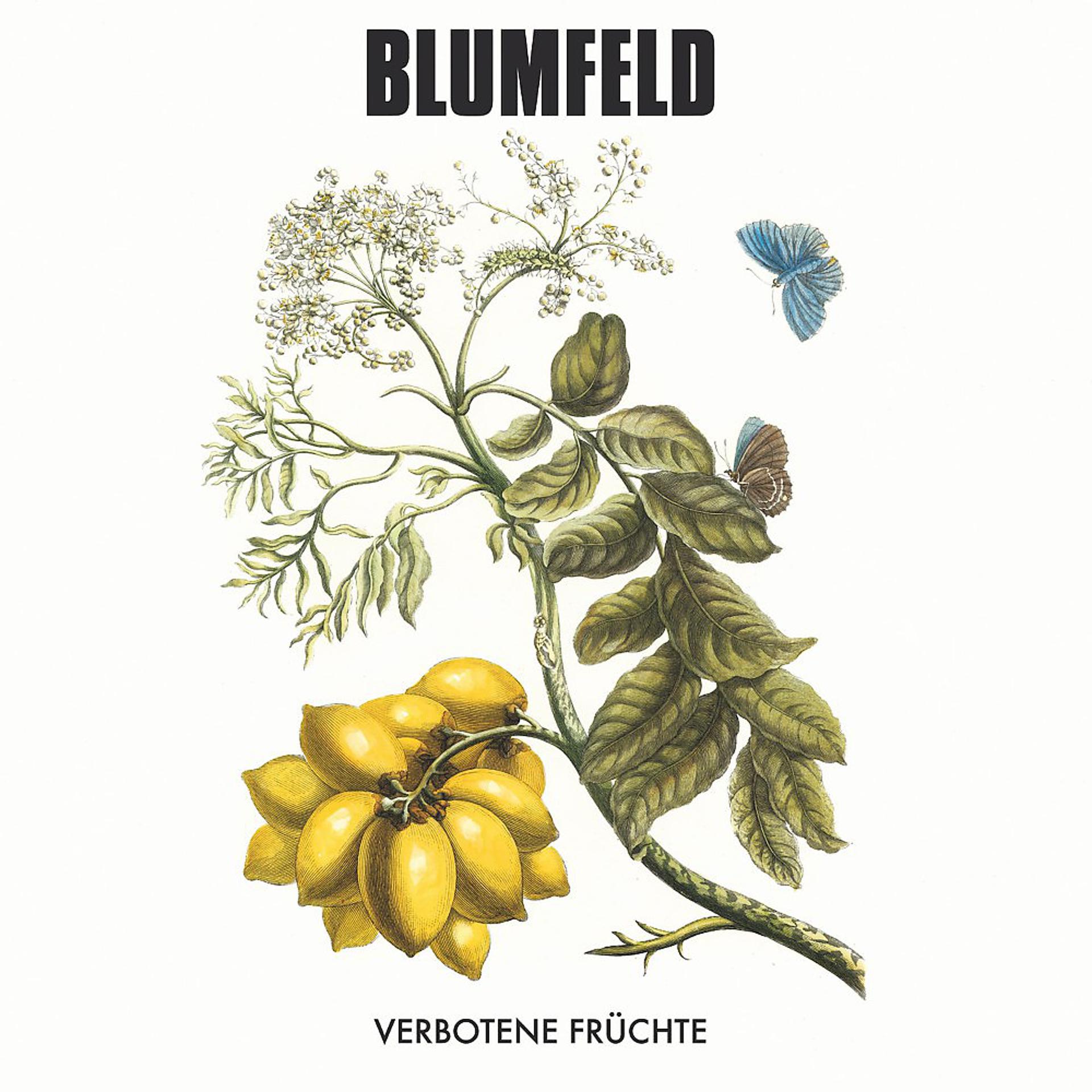 Постер альбома Verbotene Früchte