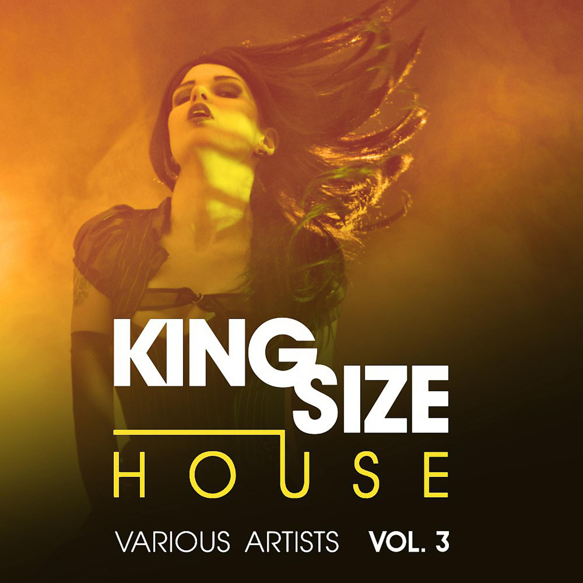 Постер альбома King Size House, Vol. 3