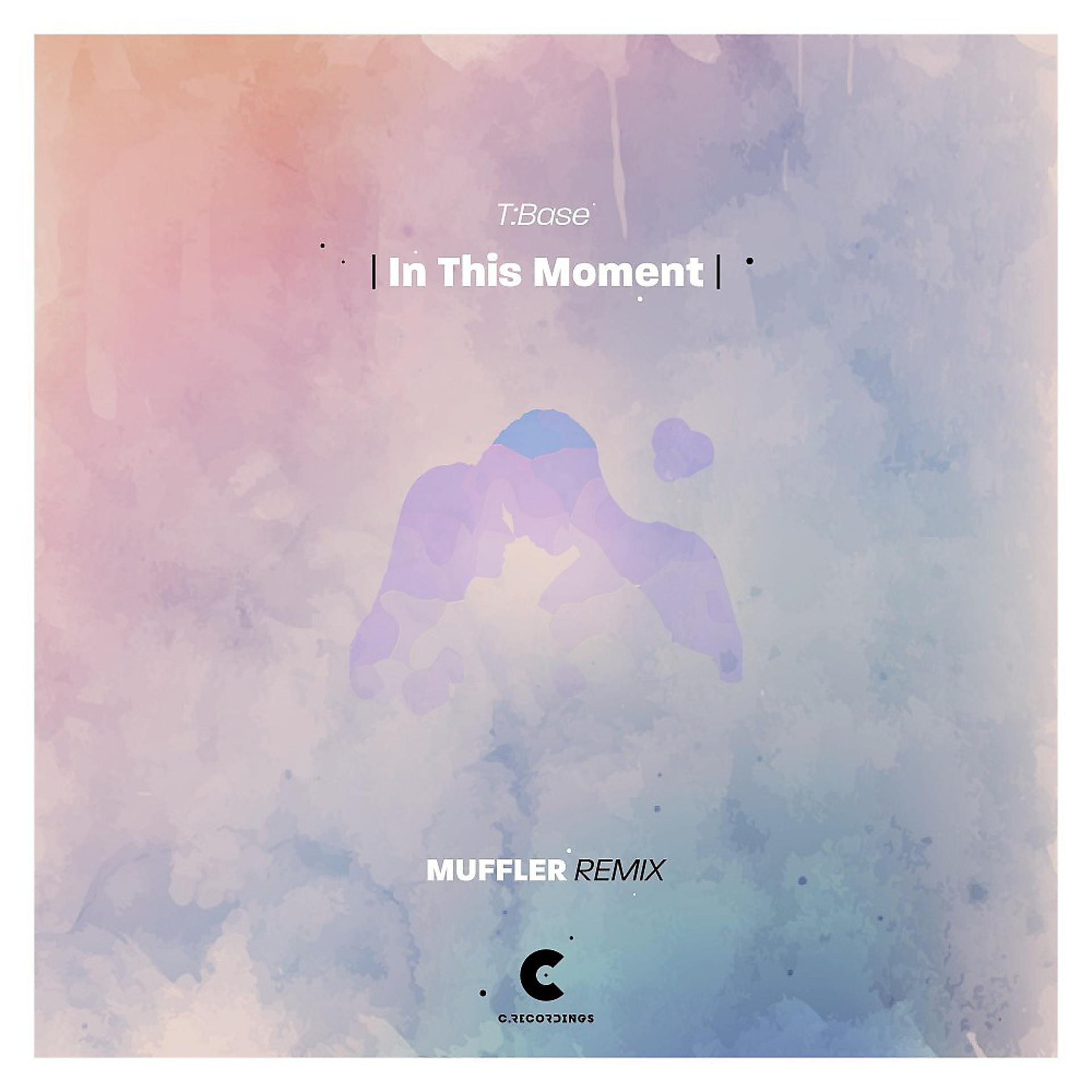 Постер альбома In This Moment (Muffler Remix)