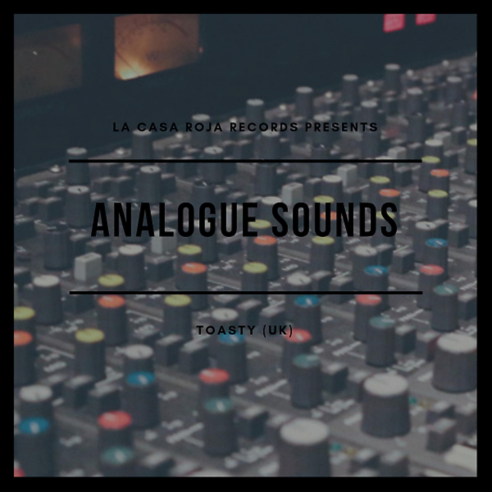 Постер альбома Analogue Sounds