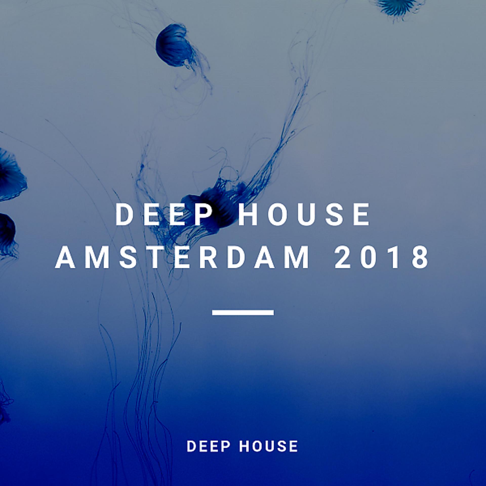 Постер альбома Deep House Amsterdam 2018 (89 Deep, Deep Techno Traxx)