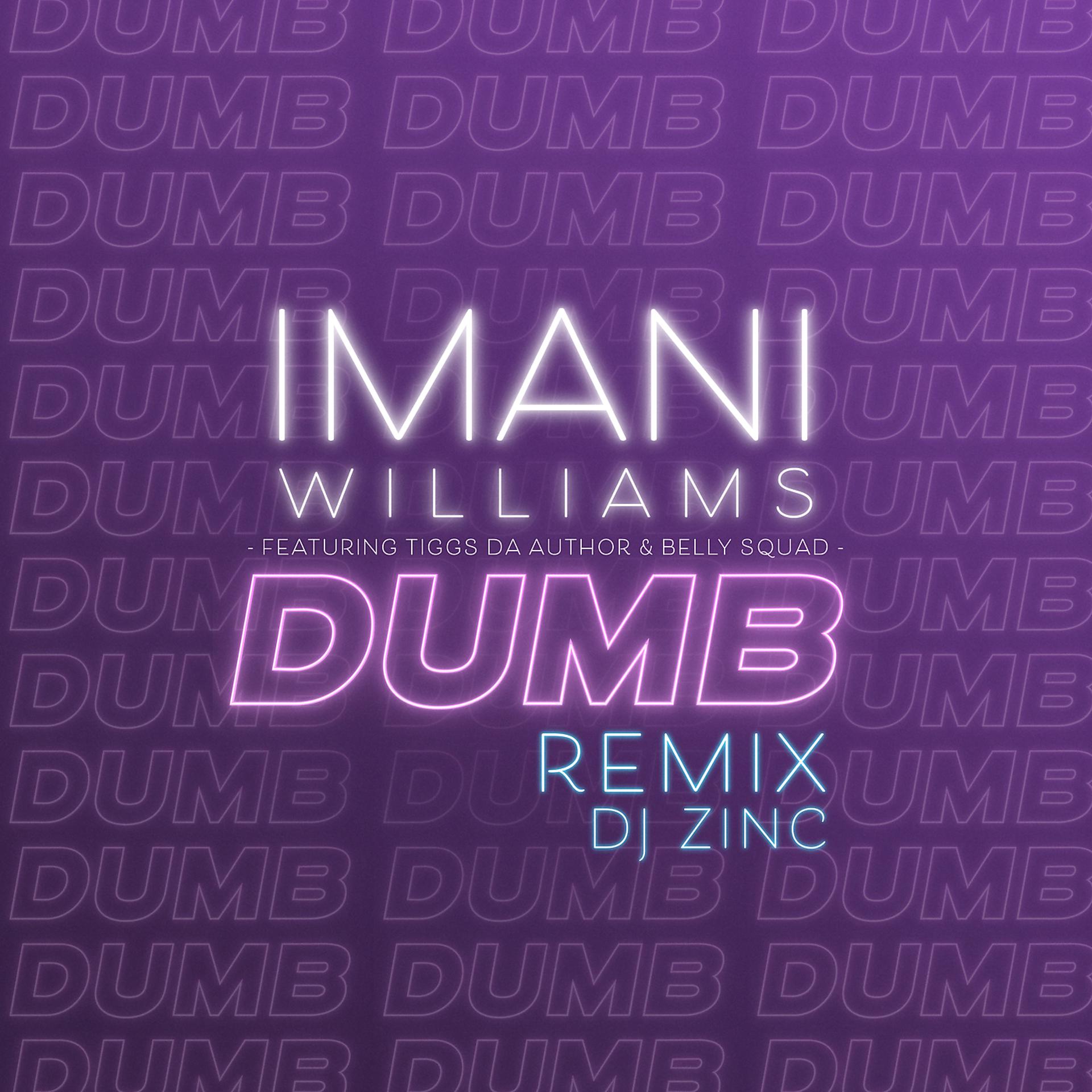Постер альбома Dumb (DJ Zinc Remix)
