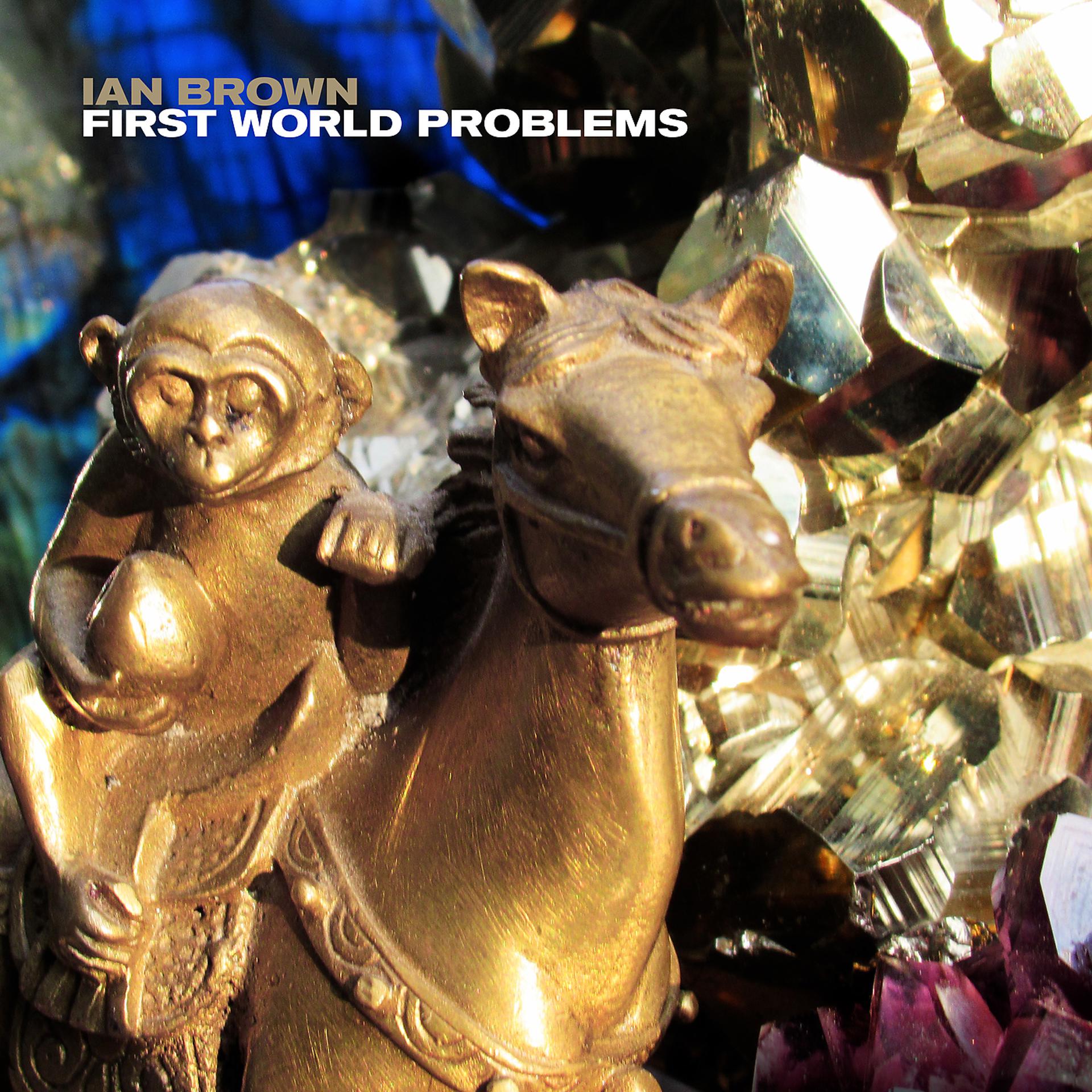 Постер альбома First World Problems
