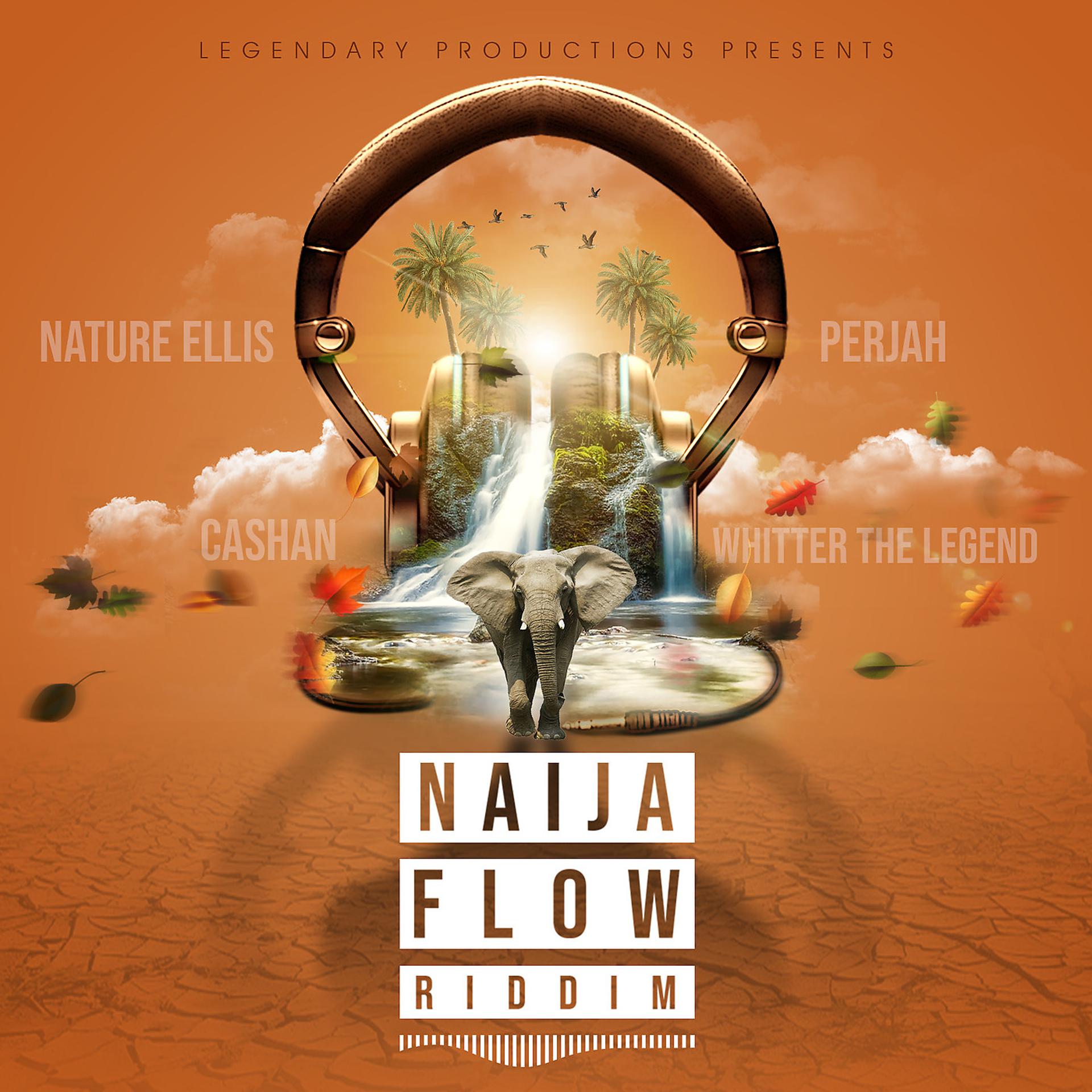 Постер альбома Naija Flow Riddim