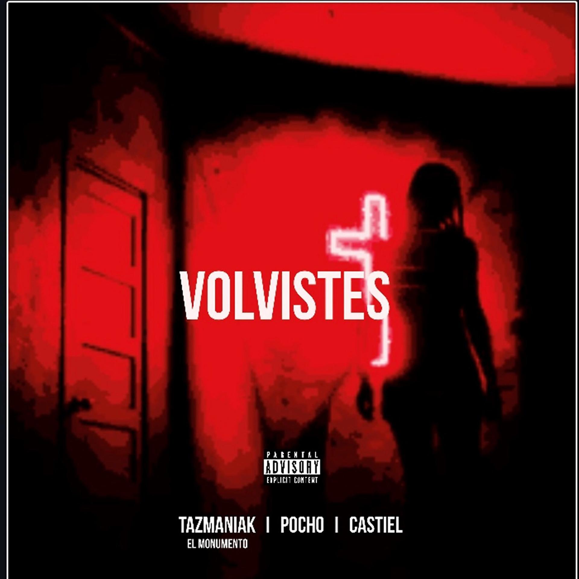 Постер альбома Volvistes