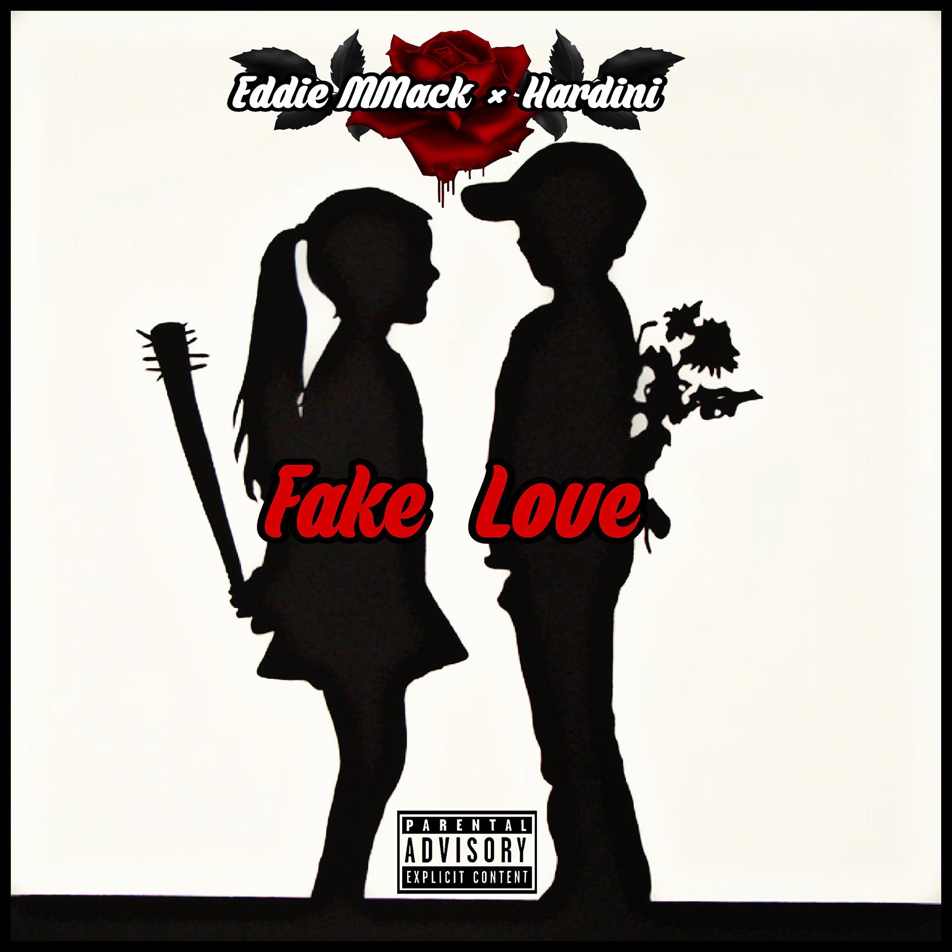Постер альбома Fake Love (feat. Hardini)