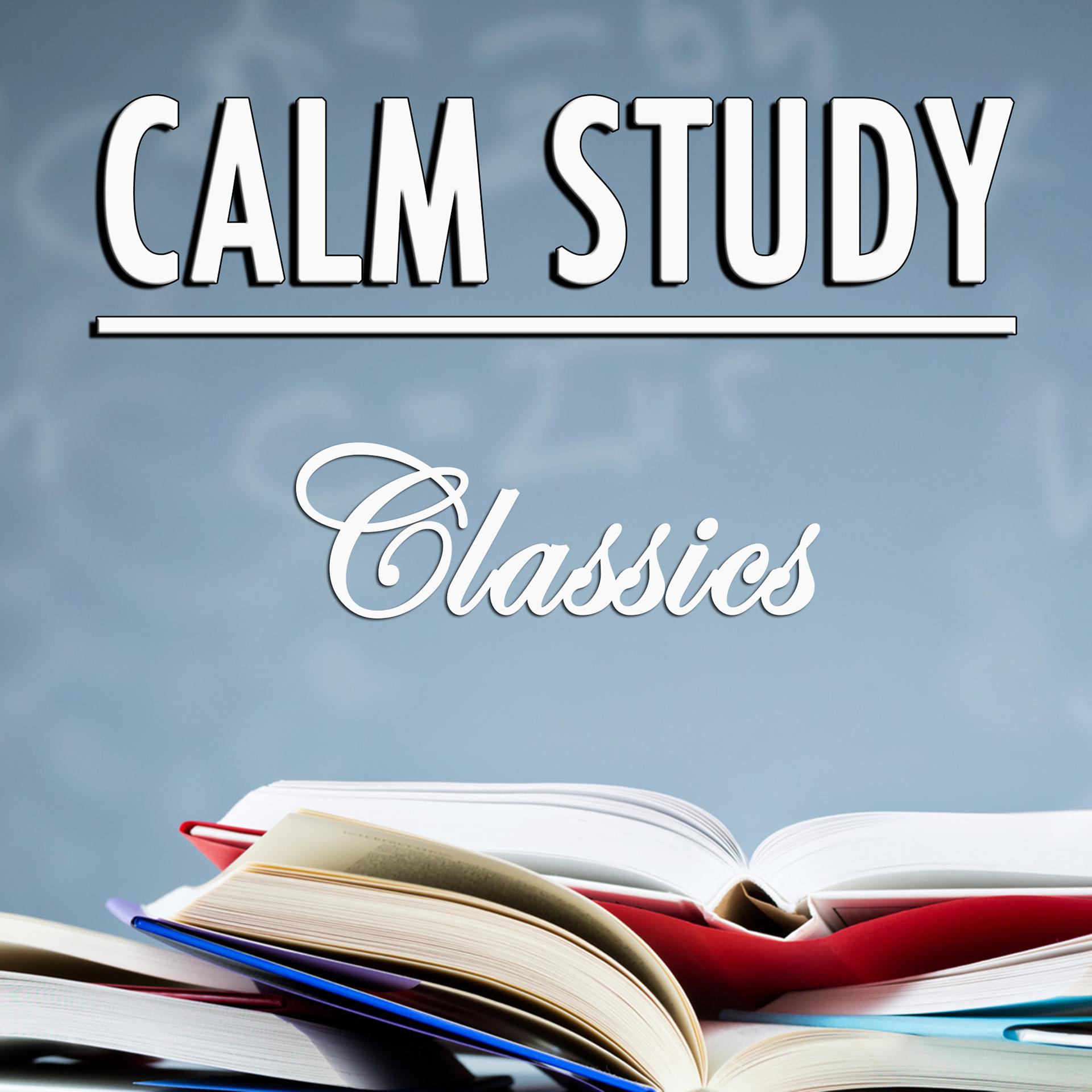 Постер альбома Calm Study Classics