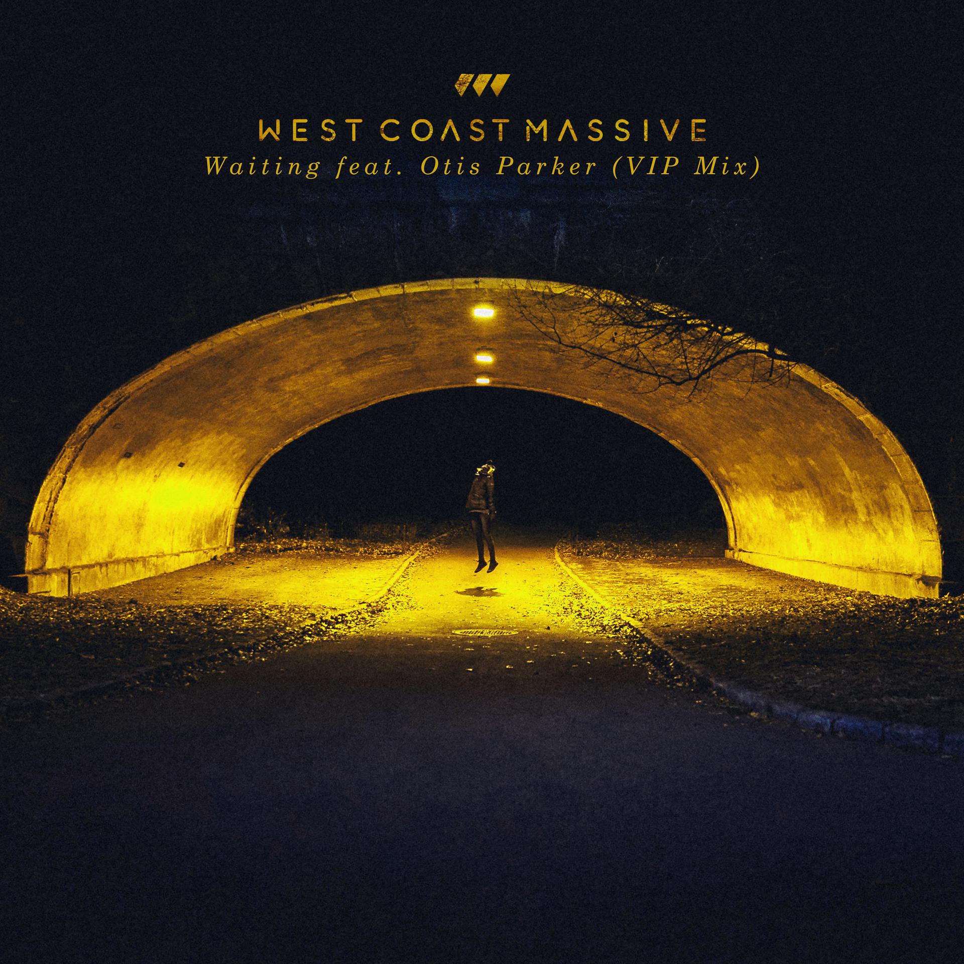 Постер альбома Waiting (feat. Otis Parker) - VIP Mix