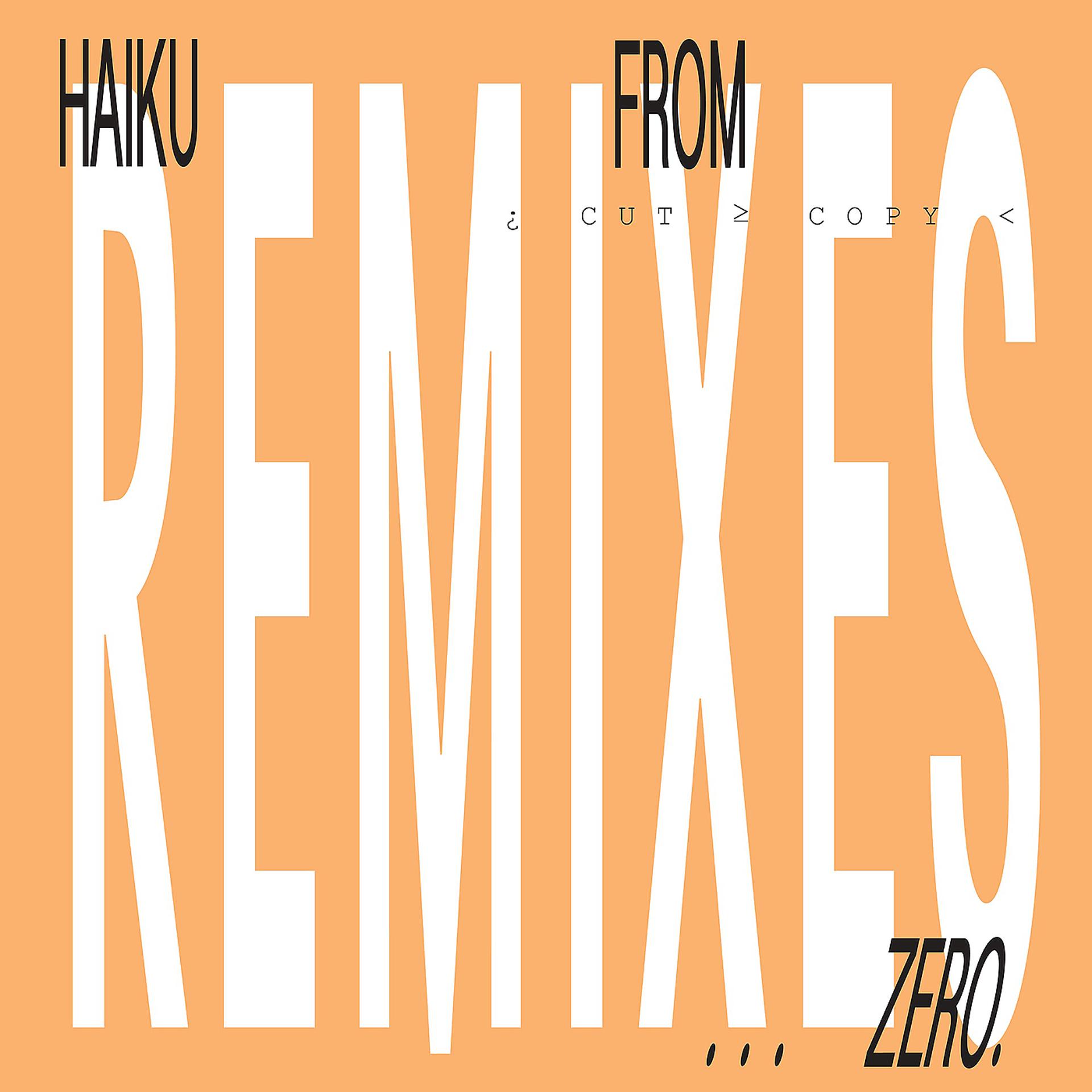 Постер альбома Haiku From Zero Remixes