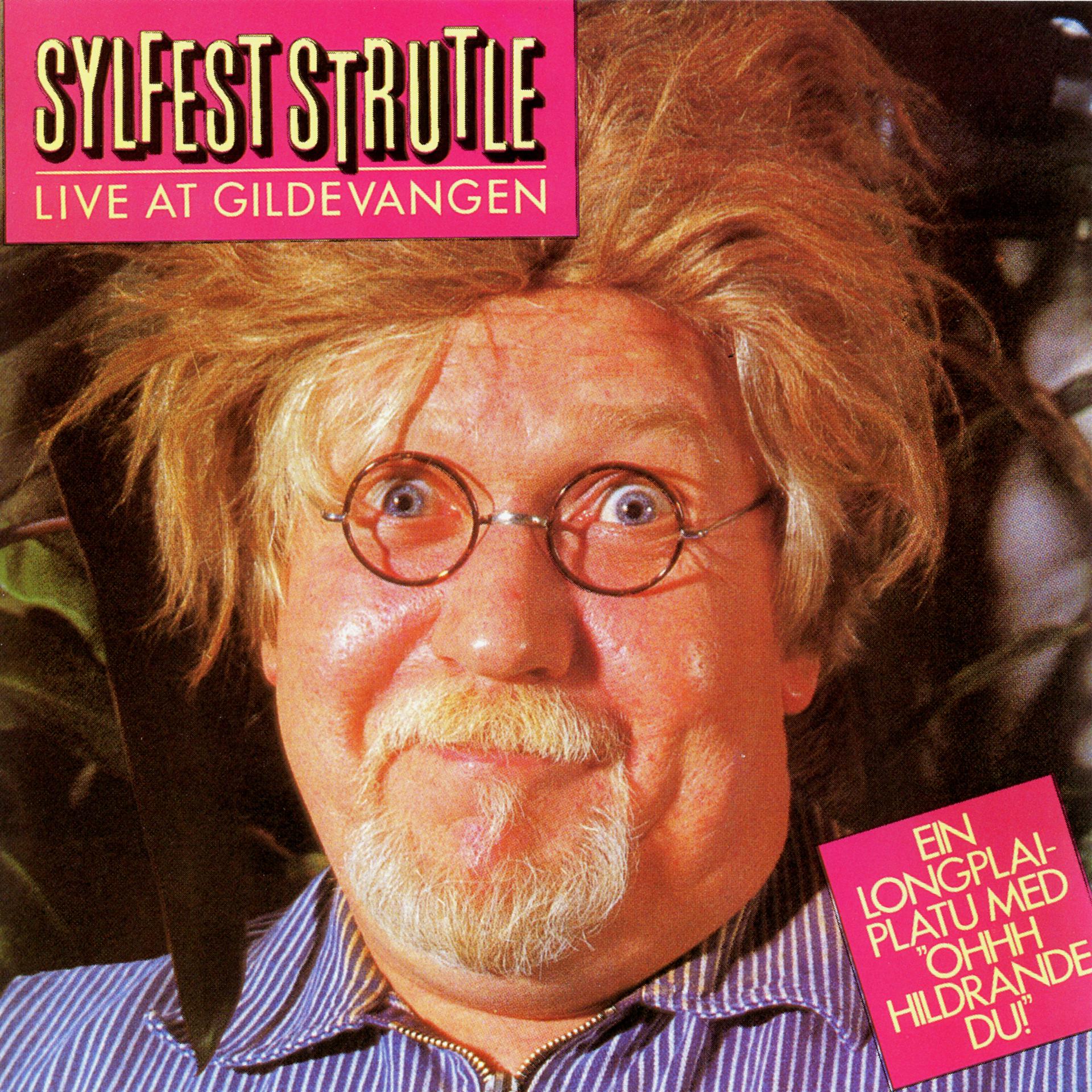 Постер альбома Sylfest Strutle (Live at Gildevangen)