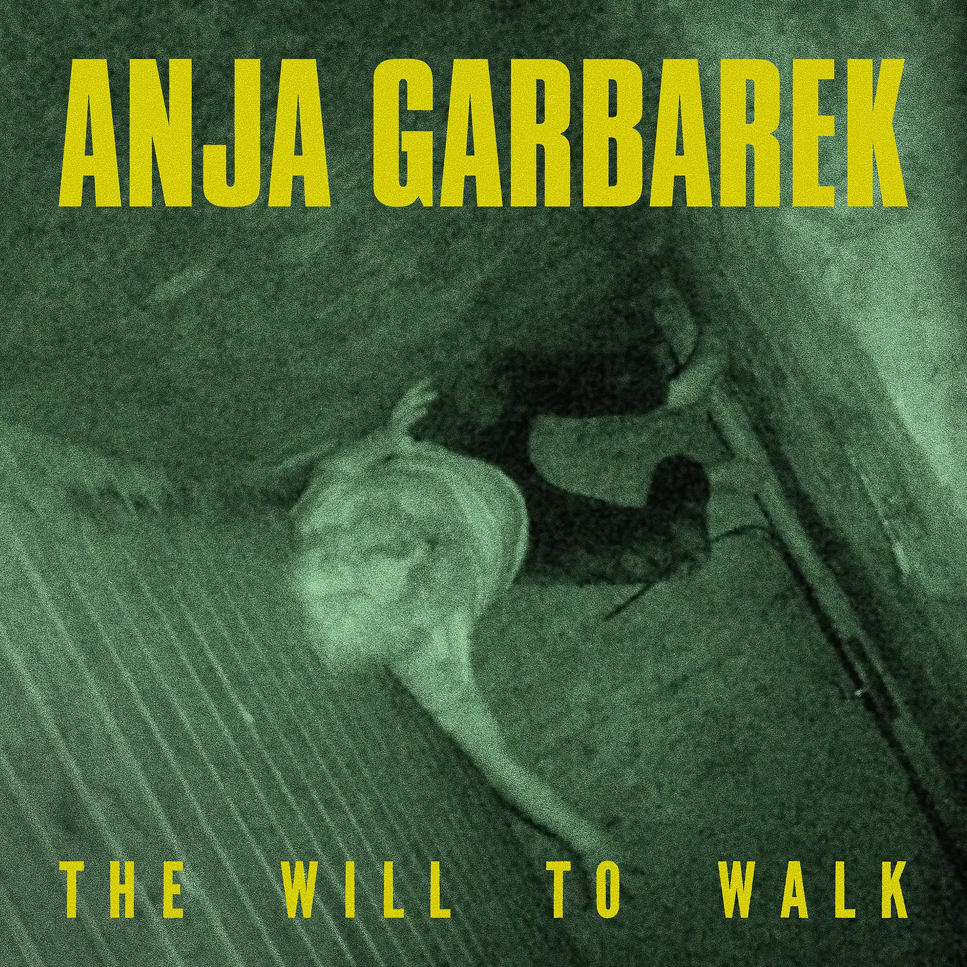Постер альбома The Will to Walk
