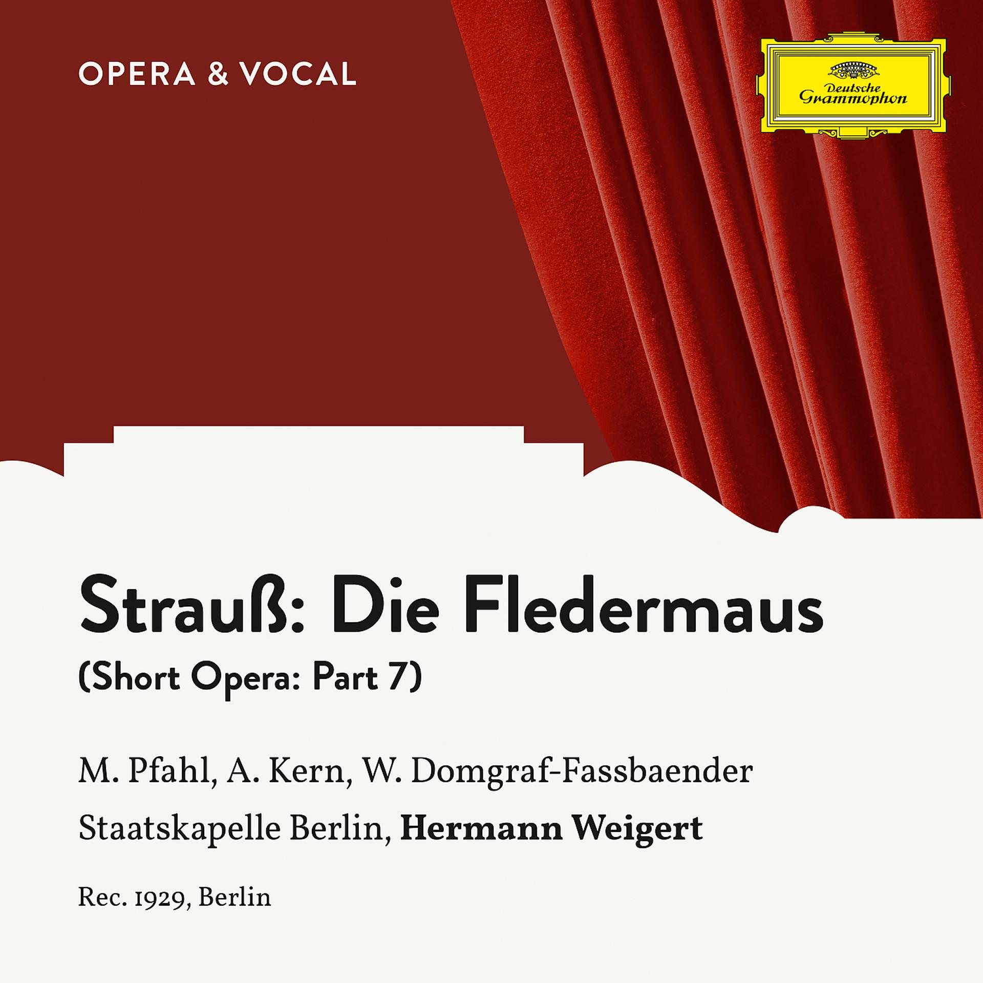 Постер альбома Strauss: Die Fledermaus: Part 7