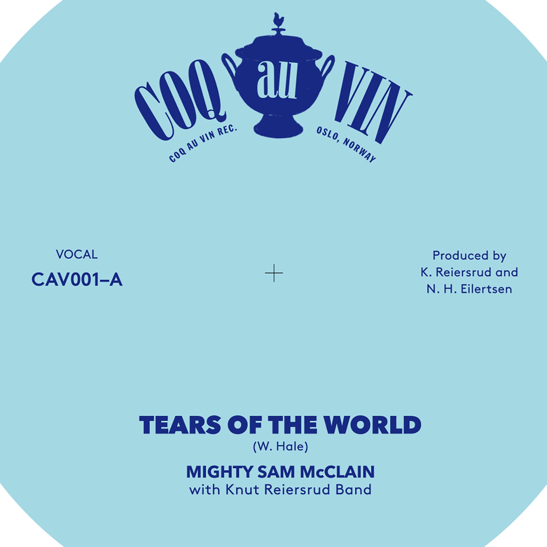 Постер альбома Tears of the World - EP