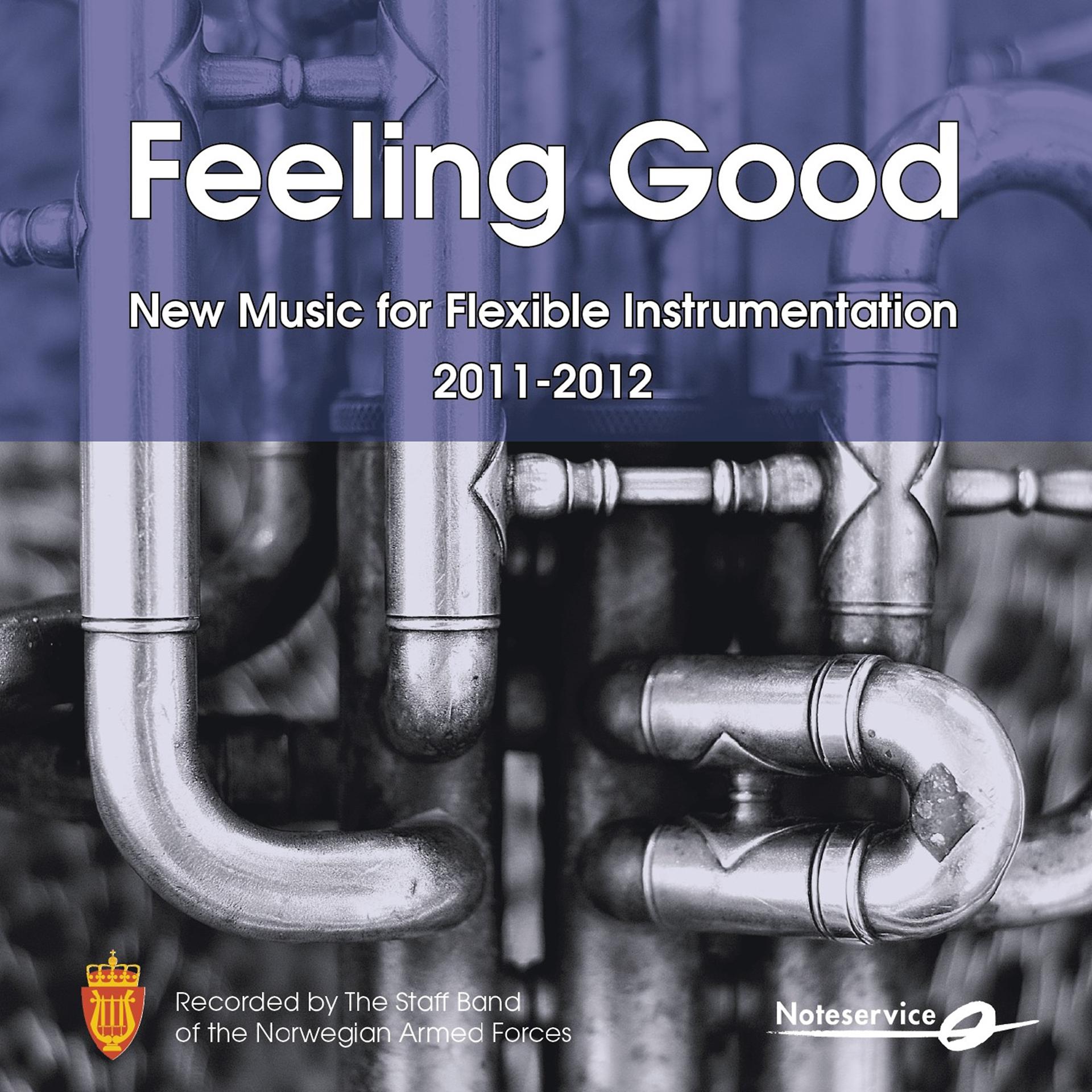 Постер альбома Feeling Good - New Music for Flexible Band Instrumentation 2011-2012
