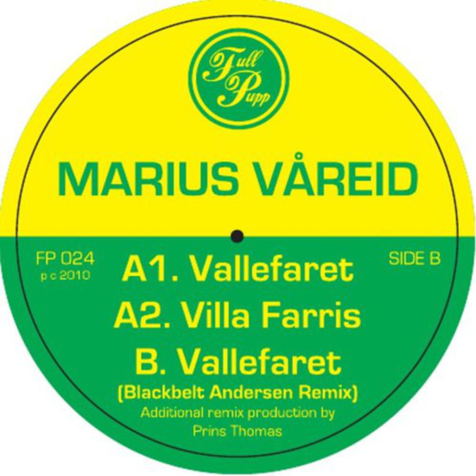 Постер альбома Vallefaret