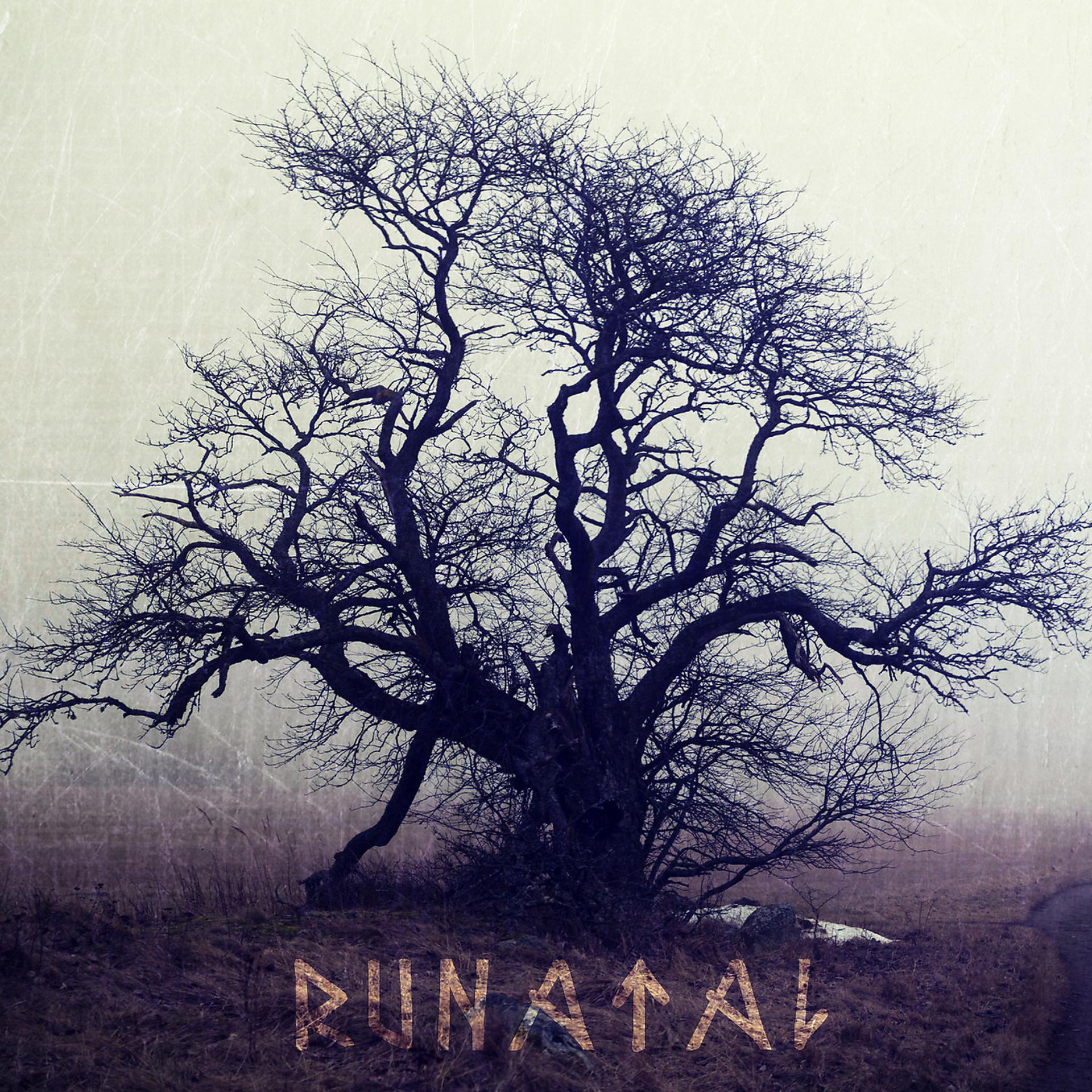 Постер альбома Runatal