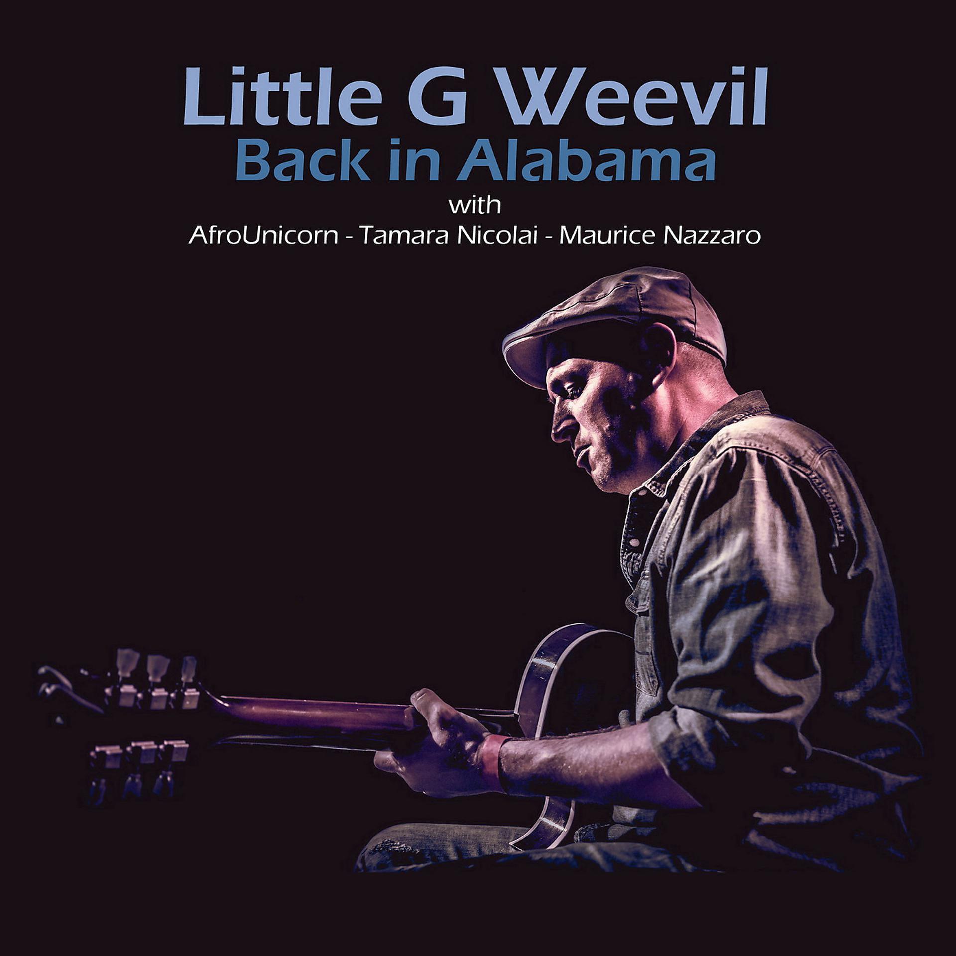 Постер альбома Back in Alabama