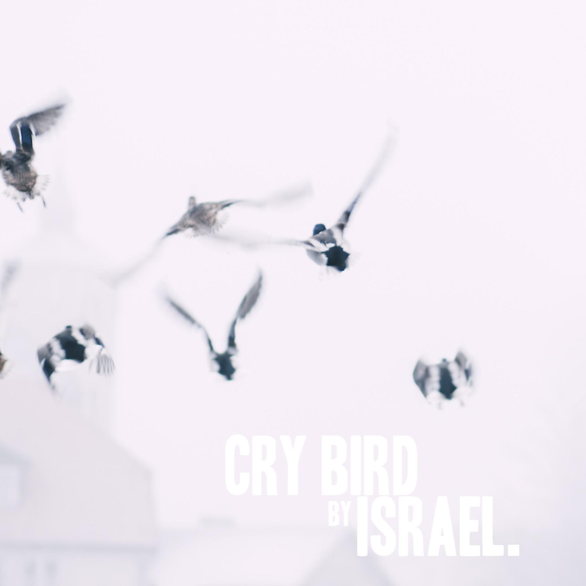 Постер альбома Cry Bird