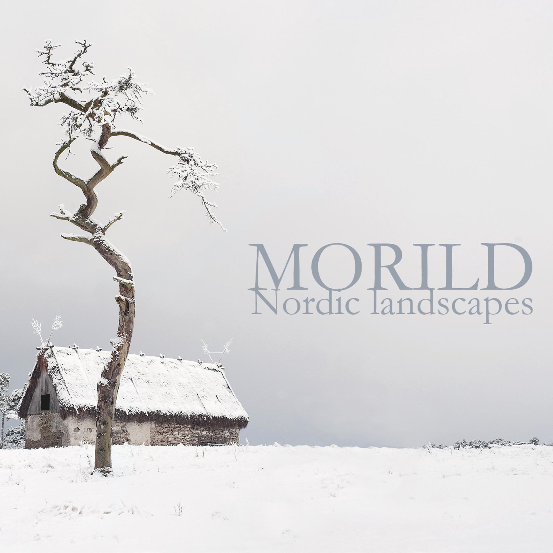 Постер альбома Nordic Landscapes
