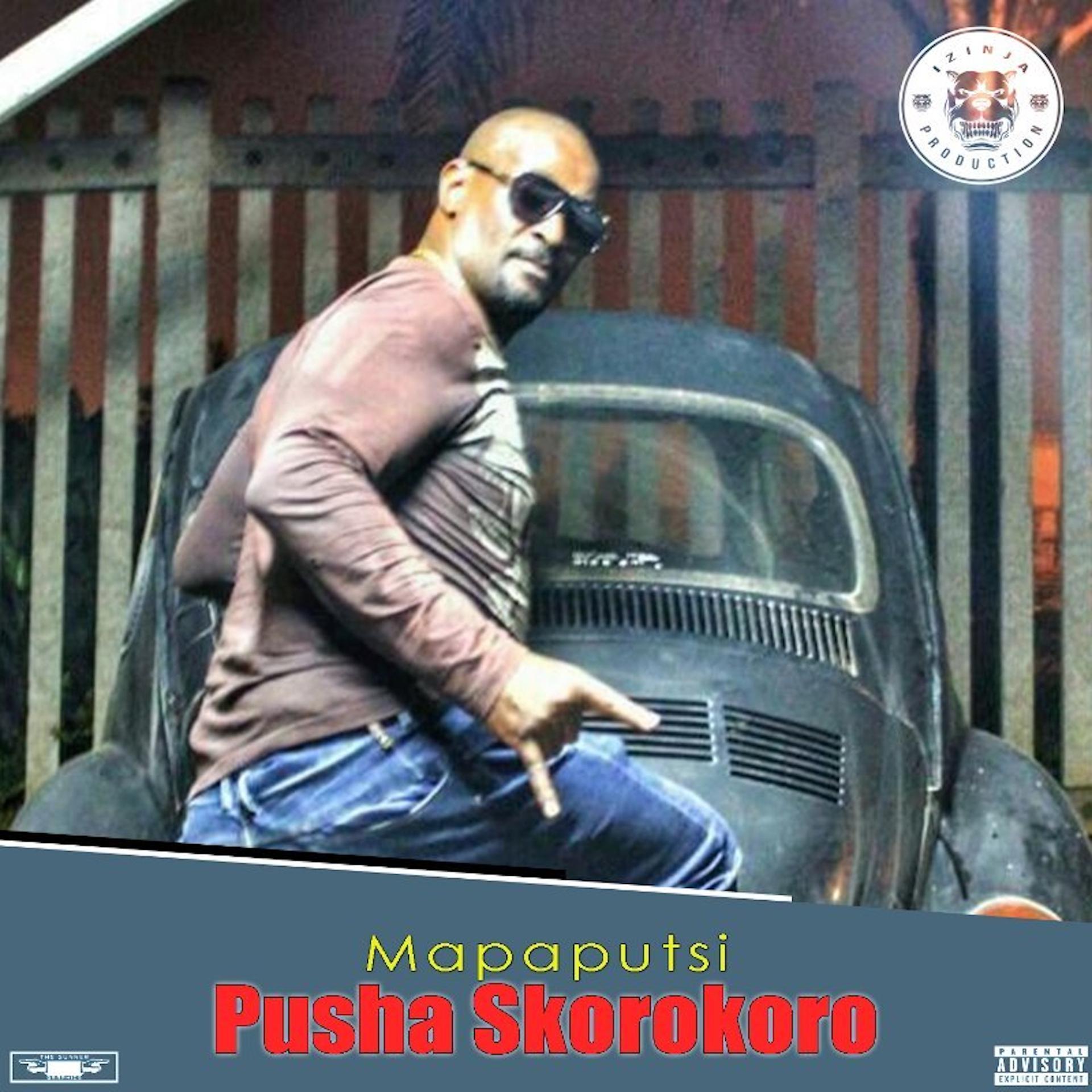 Постер альбома Pusha Skorokoro