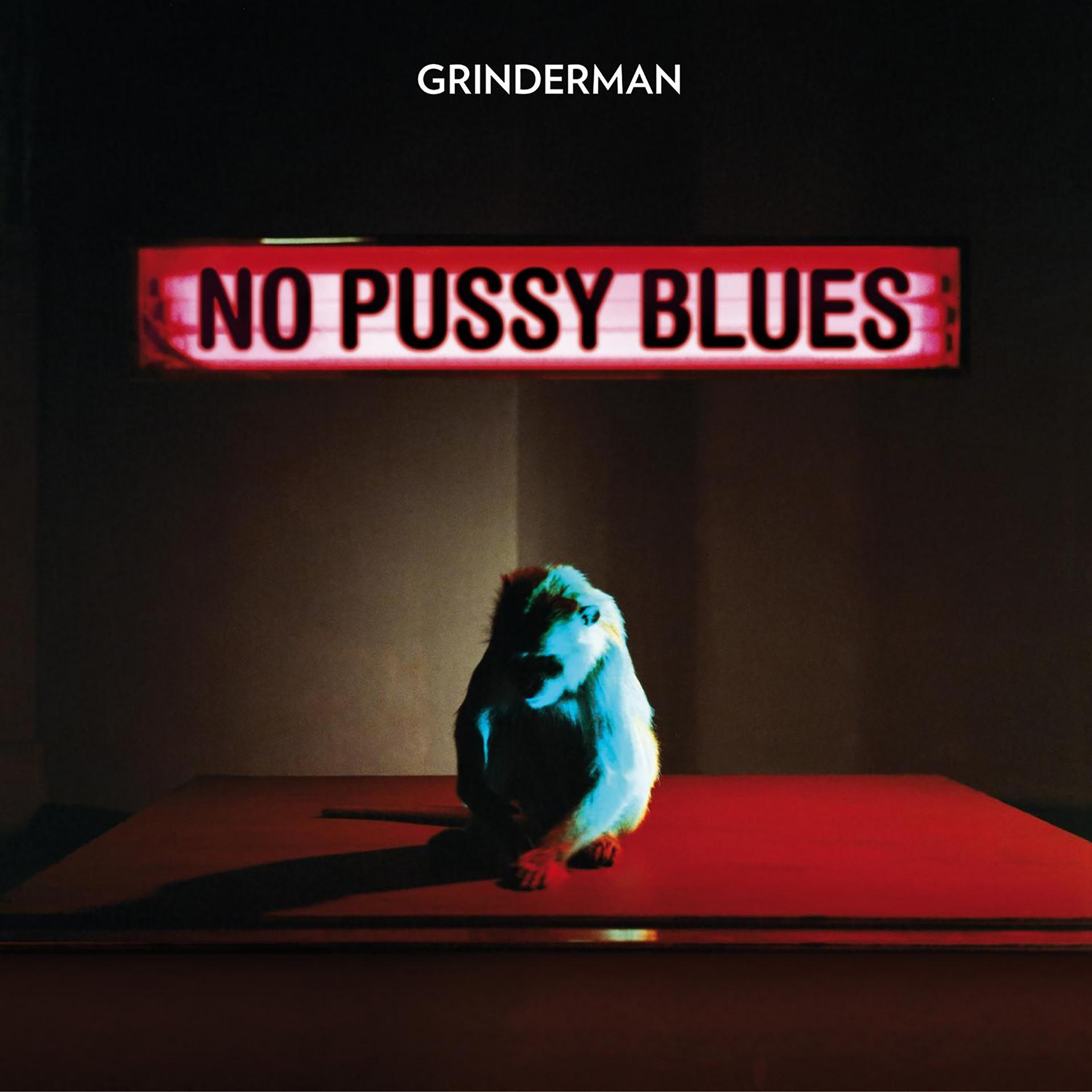 Постер альбома No Pussy Blues