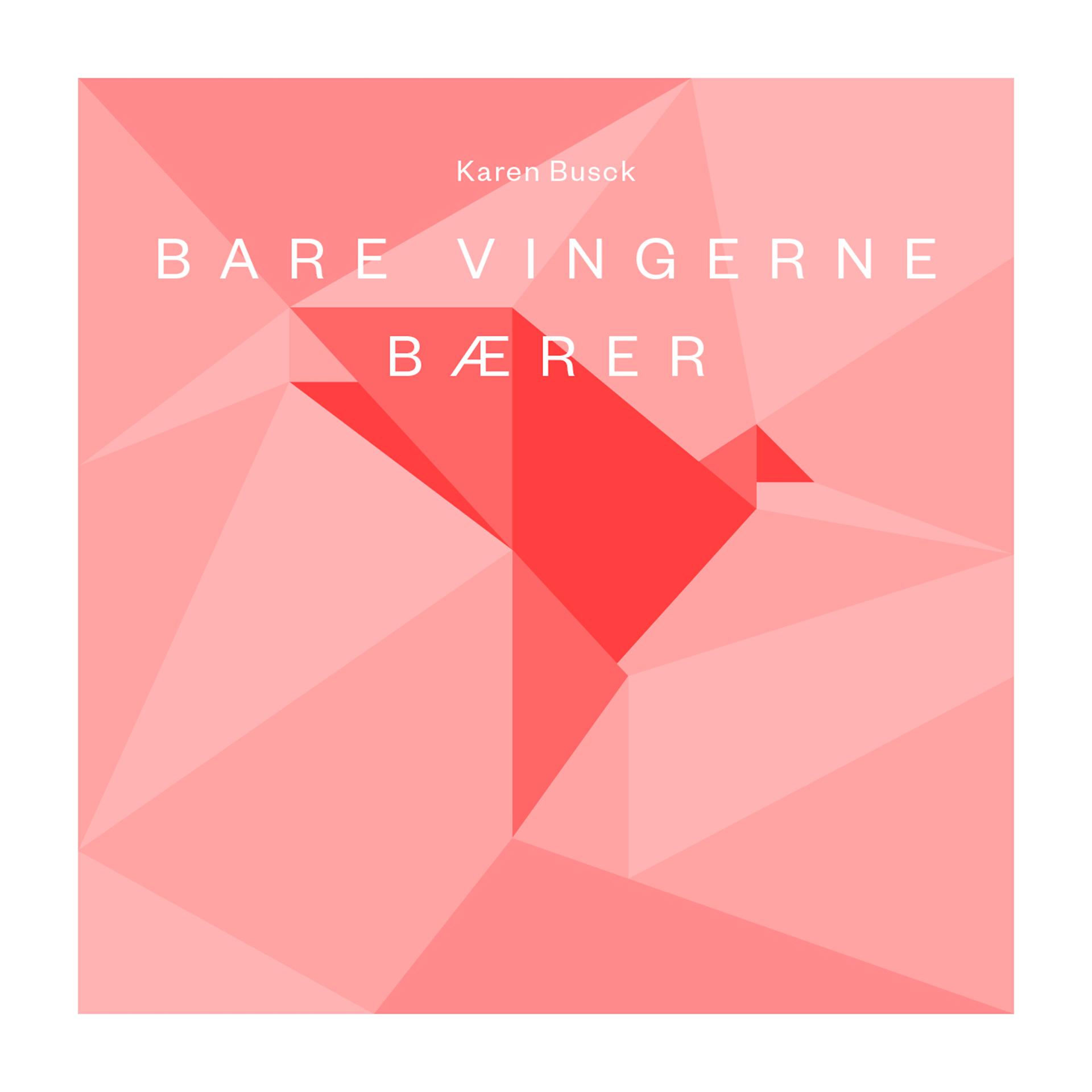 Постер альбома Bare vingerne bærer