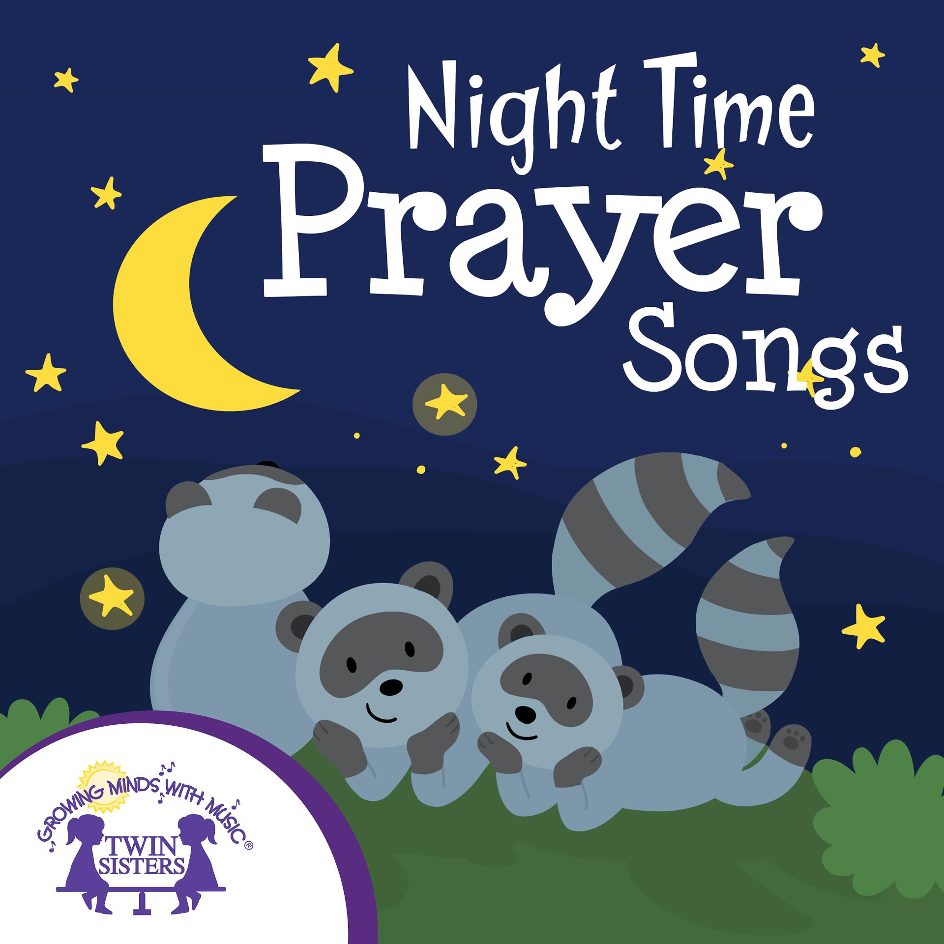 Постер альбома Night Time Prayer Songs