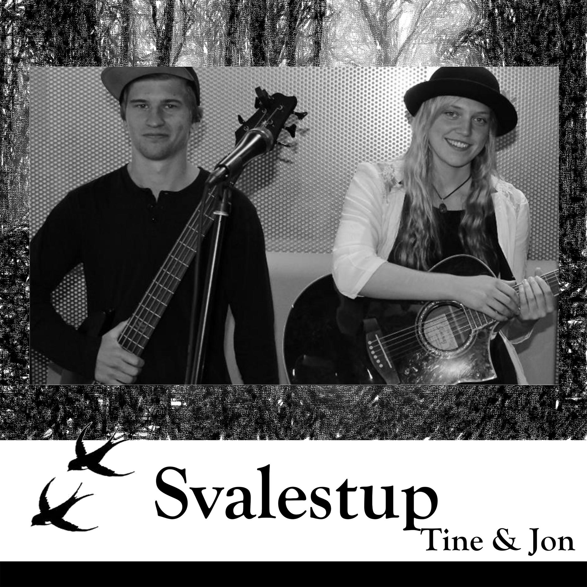 Постер альбома Svalestup