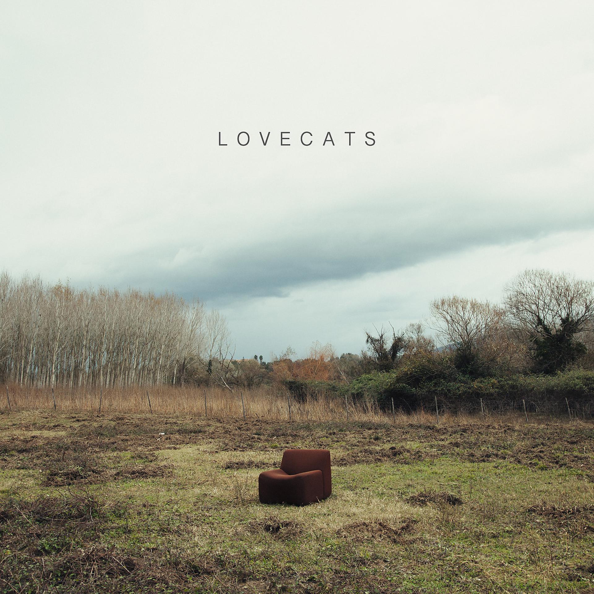 Постер альбома Lovecats