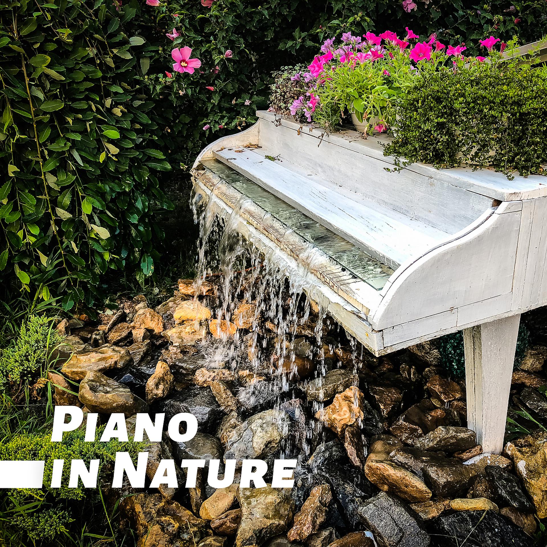 Постер альбома Piano in Nature - 25 Relaxing Piano Jazz & Nature Sounds, Tranquil Collection