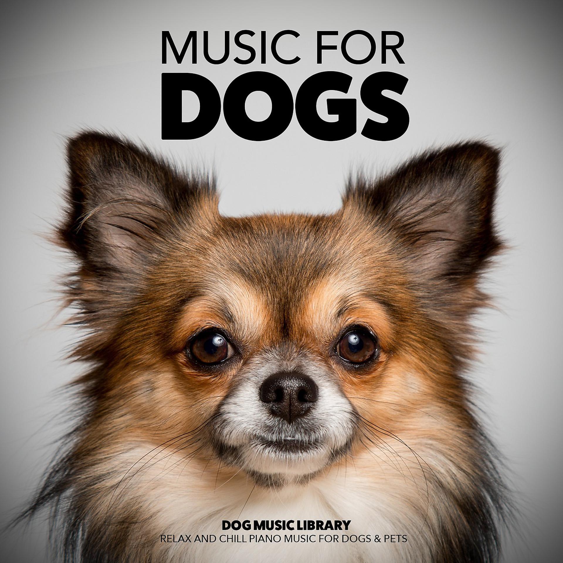 Постер альбома Music for Dogs: Relax and Chill Piano Music for Dogs & Pets