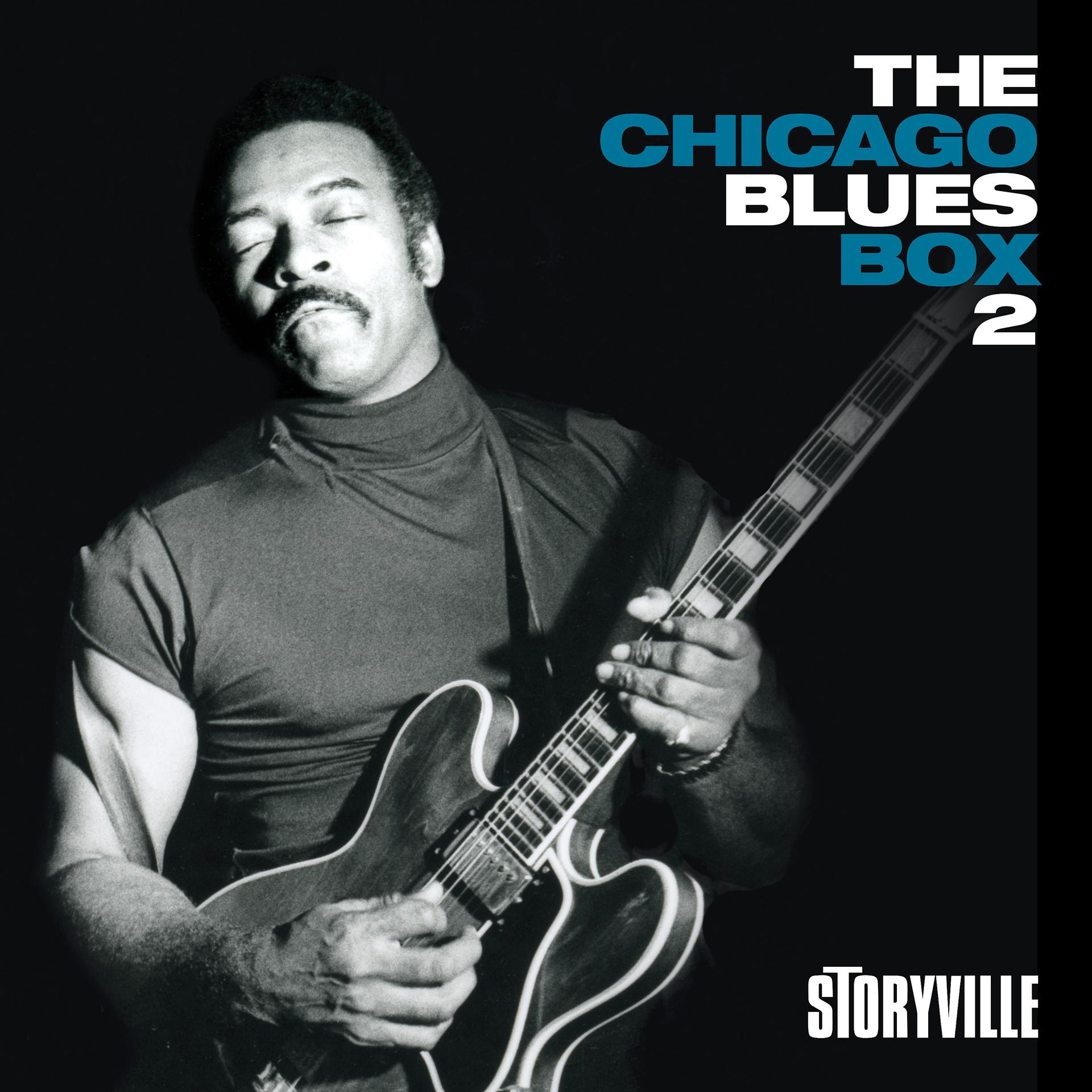 Постер альбома The Chicago Blues Box 2, Vol. 7