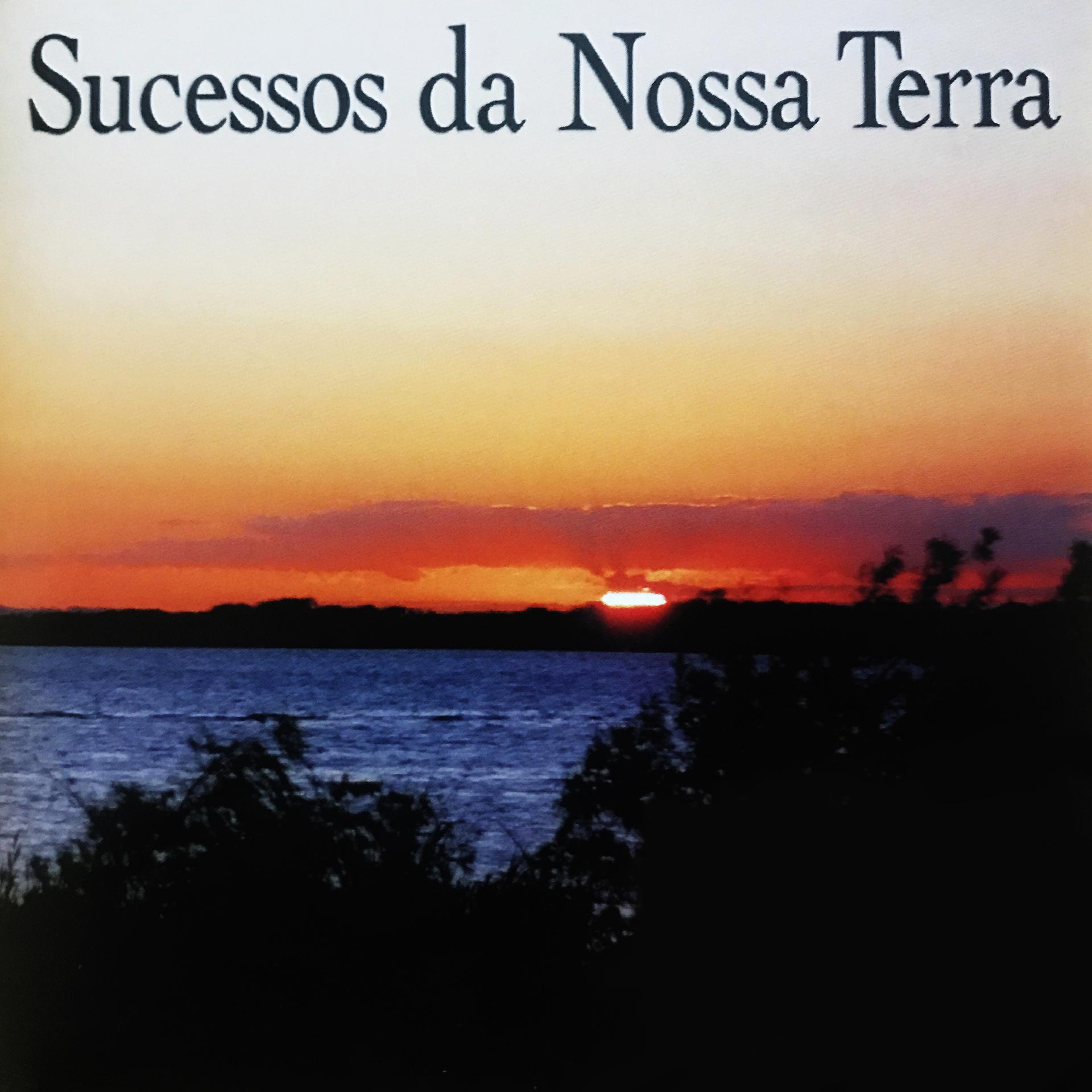 Постер альбома Sucessos da Nossa Terra