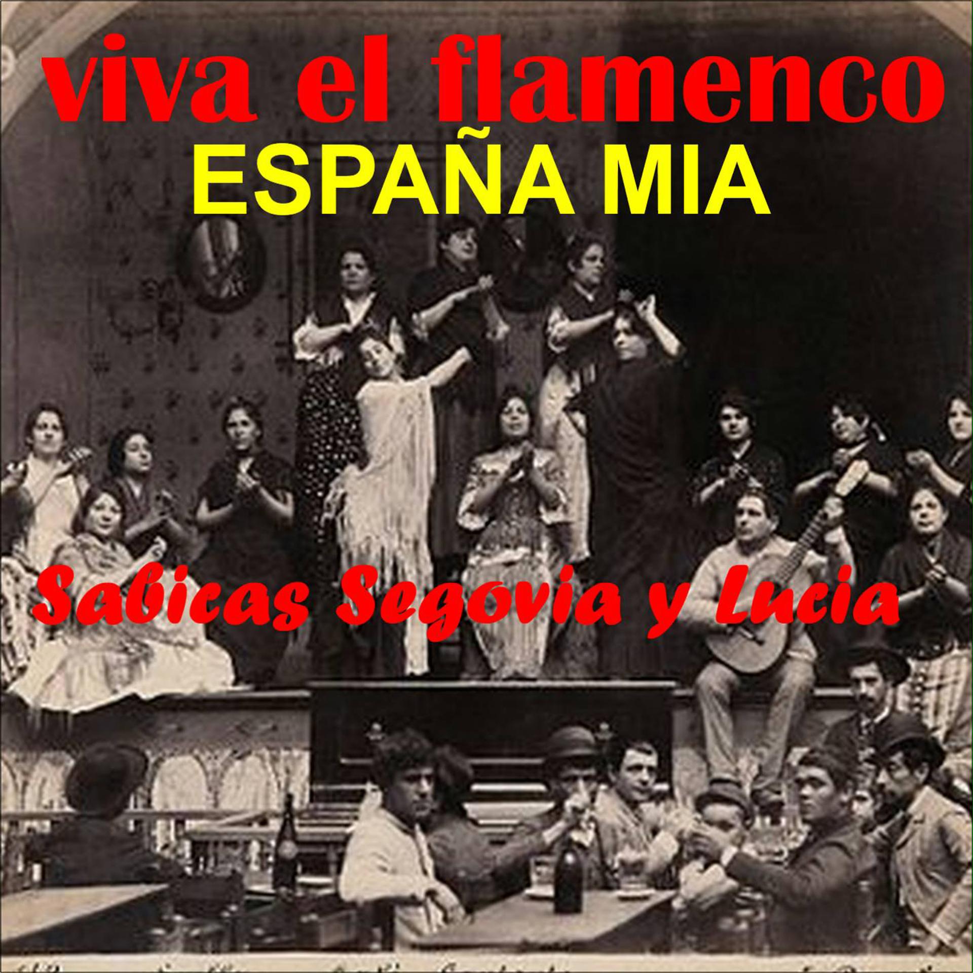 Постер альбома Viva el Flamenco España Mia