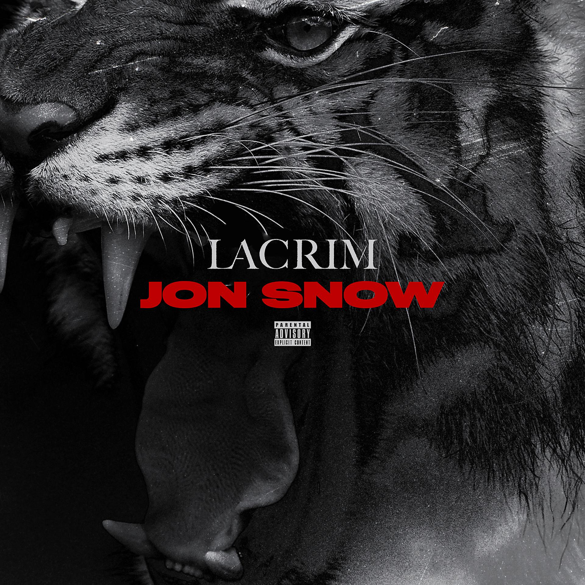 Постер альбома Jon Snow