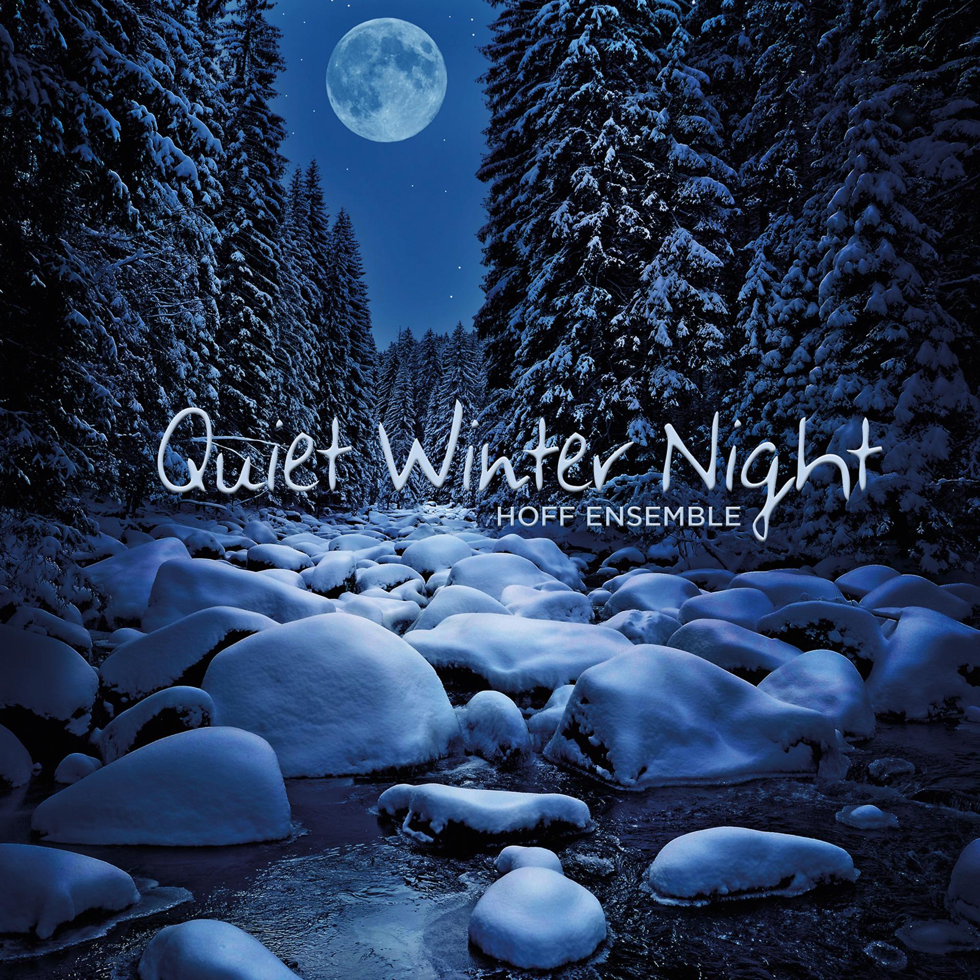 Постер альбома Quiet Winter Night — an Acoustic Jazz Project
