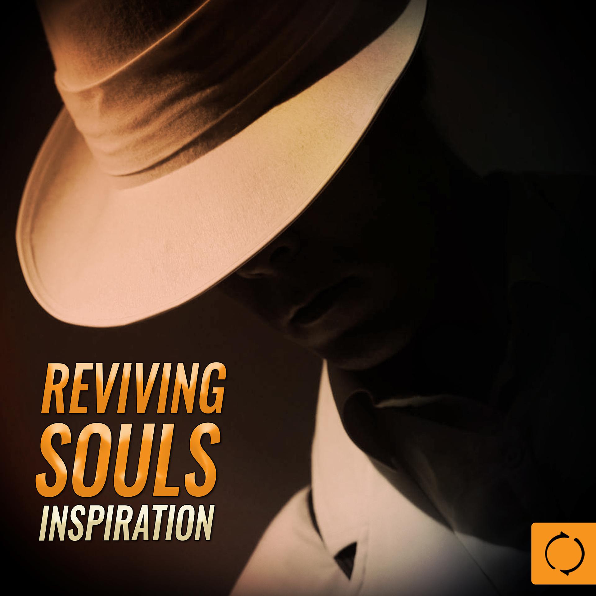 Постер альбома Reviving Souls Inspiration