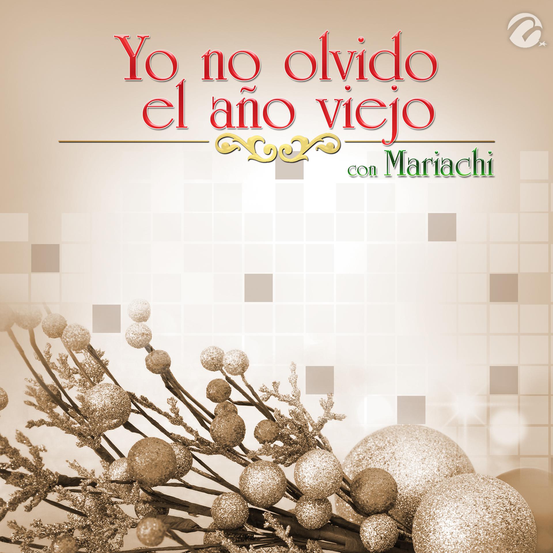 Постер альбома Yo No Olvido el Año Viejo