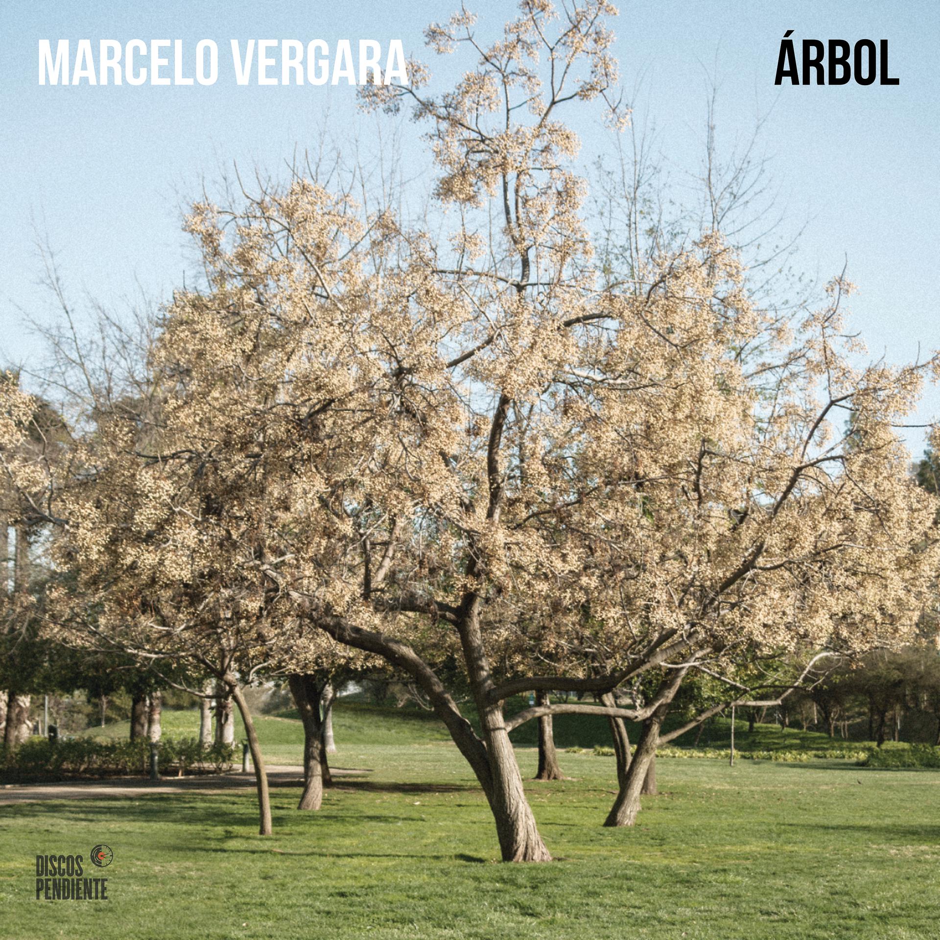 Постер альбома Árbol