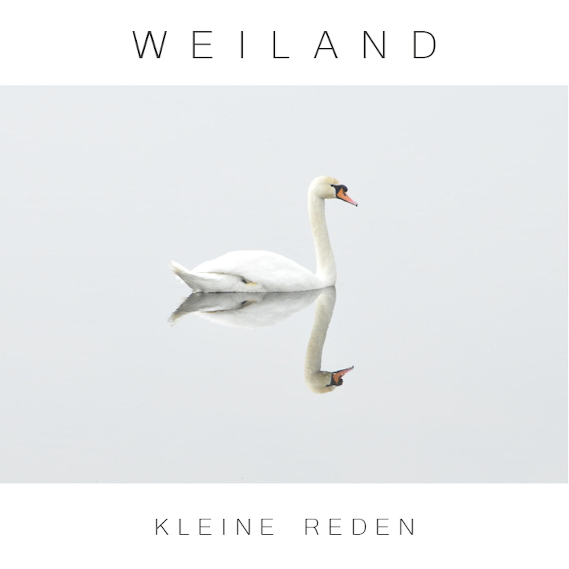Постер альбома Kleine Reden
