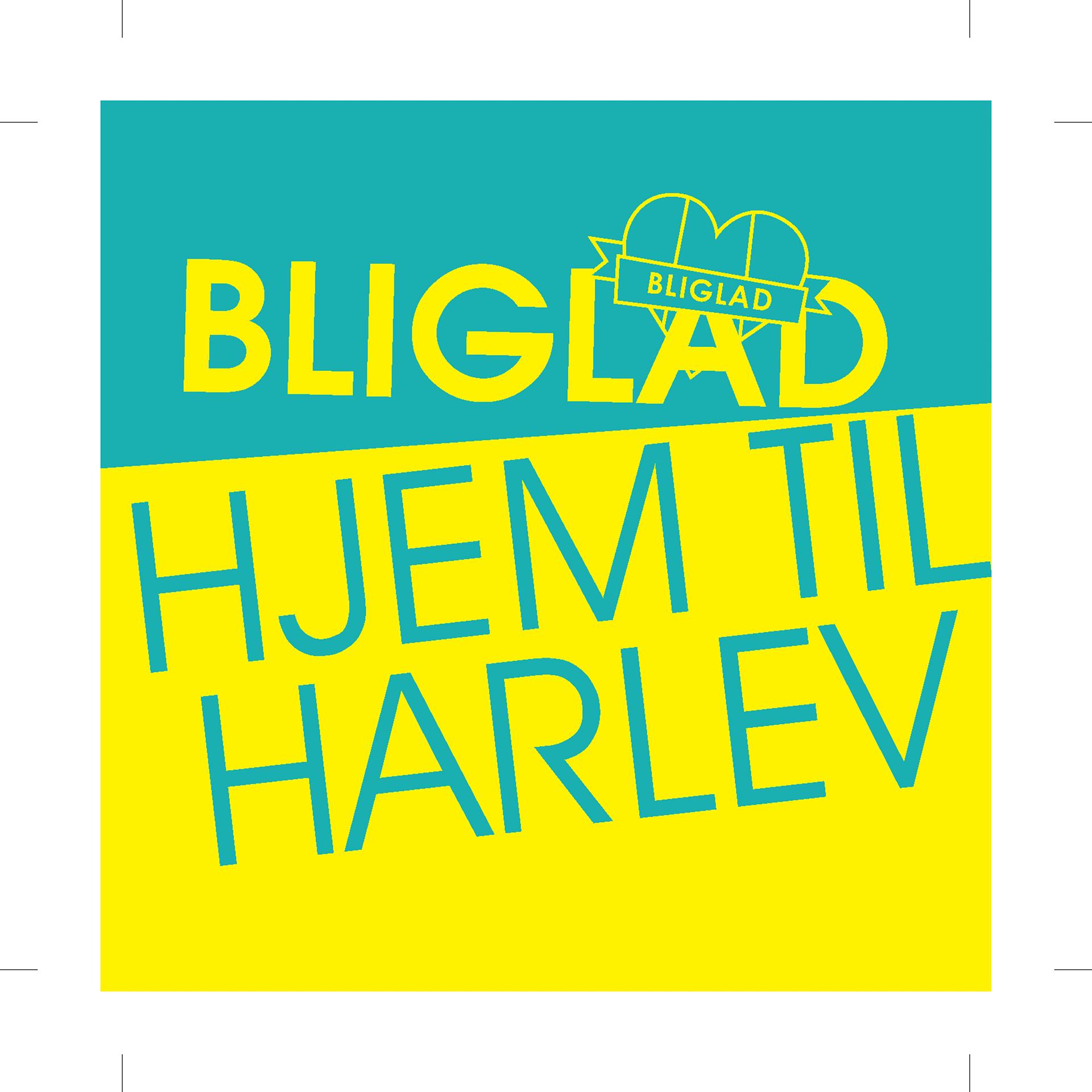 Постер альбома Hjælp