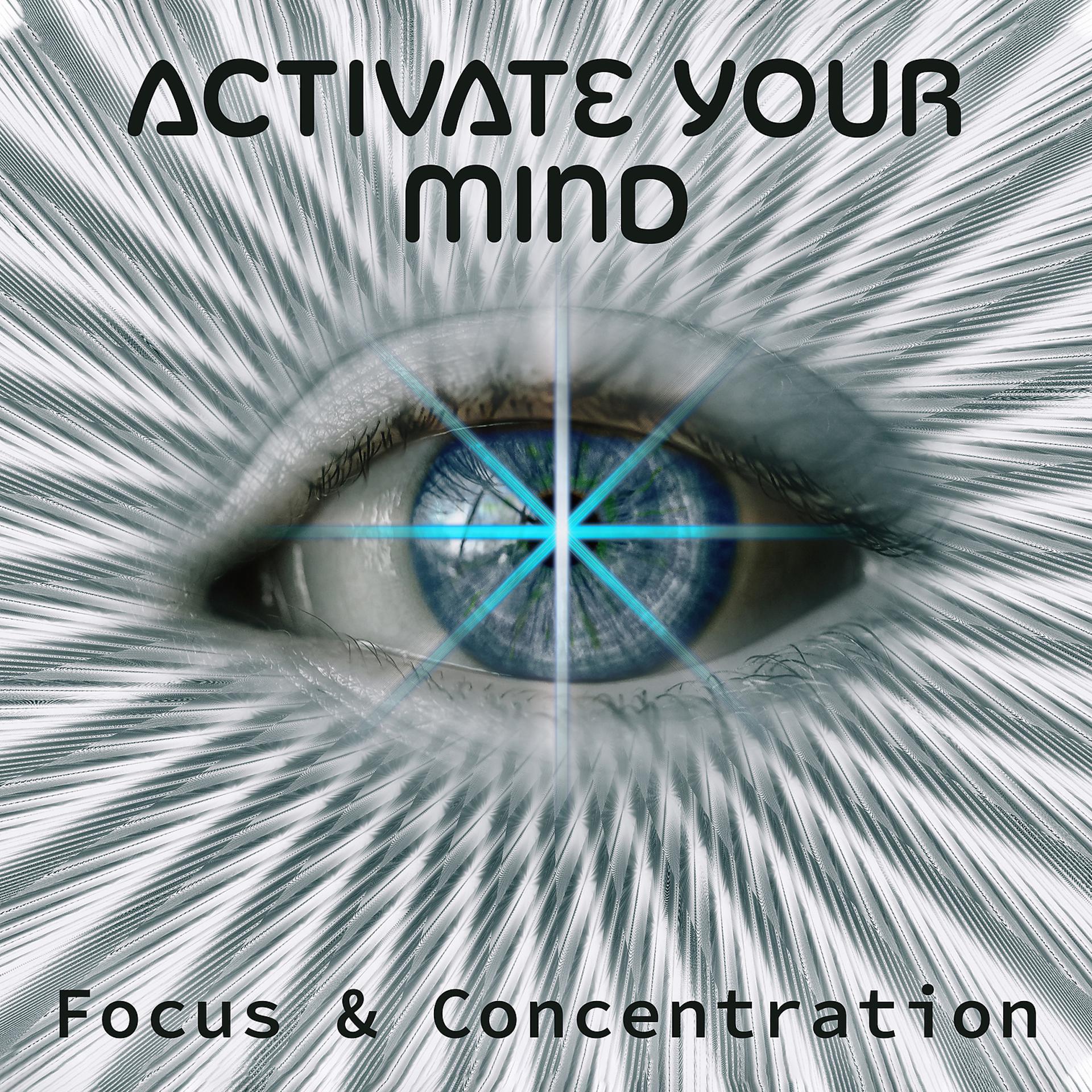 Постер альбома Activate Your Mind: Focus & Concentration - Mindfulness Meditation, Brain Exercises, Boost Positive Energy
