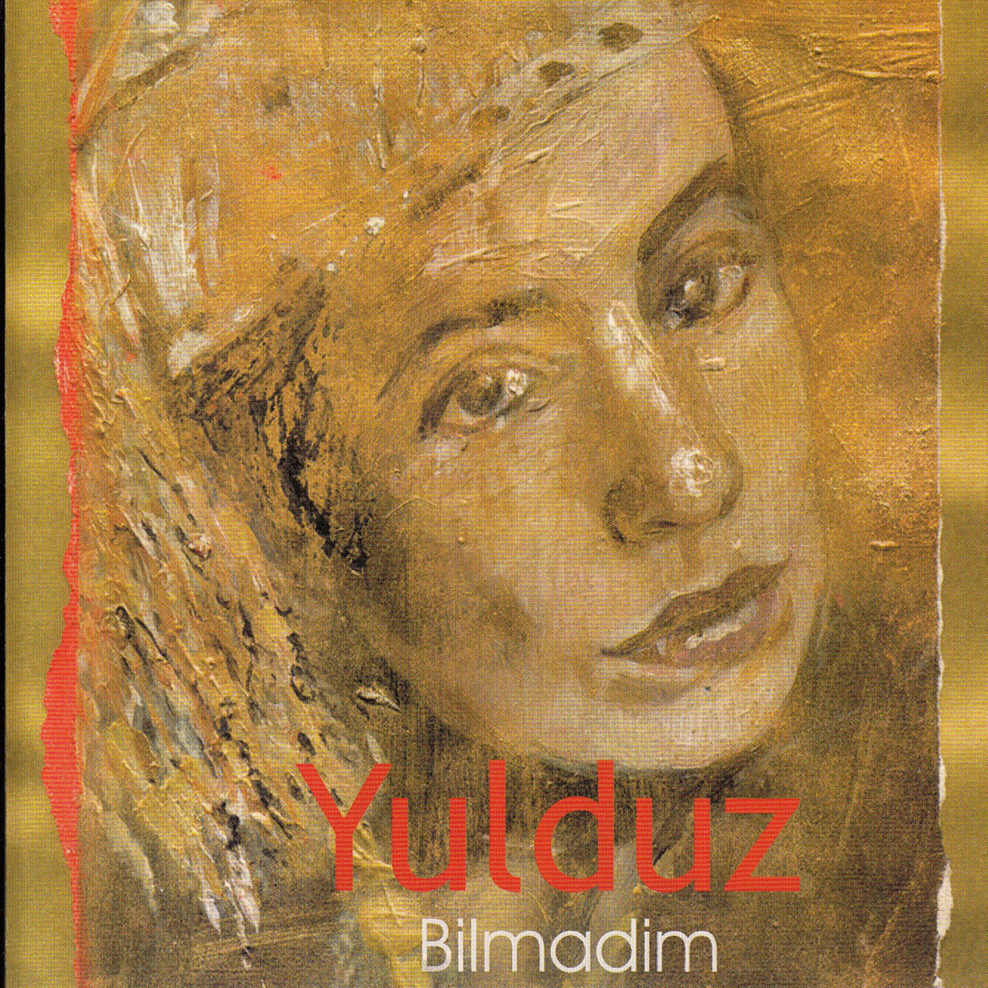 Постер альбома Bilmadim