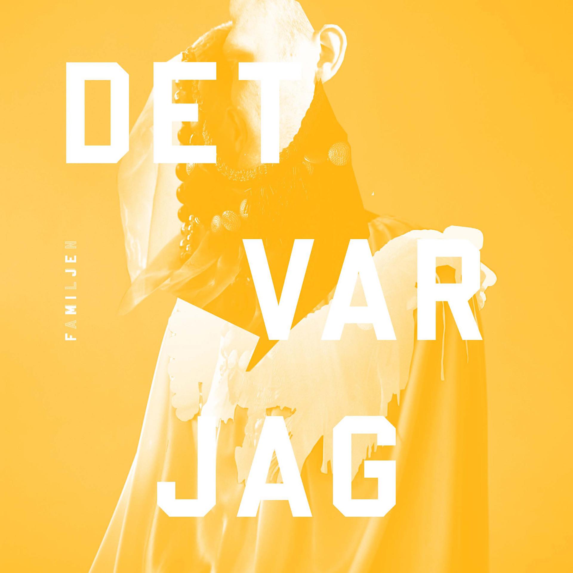 Постер альбома Det var jag - The Adrian Version