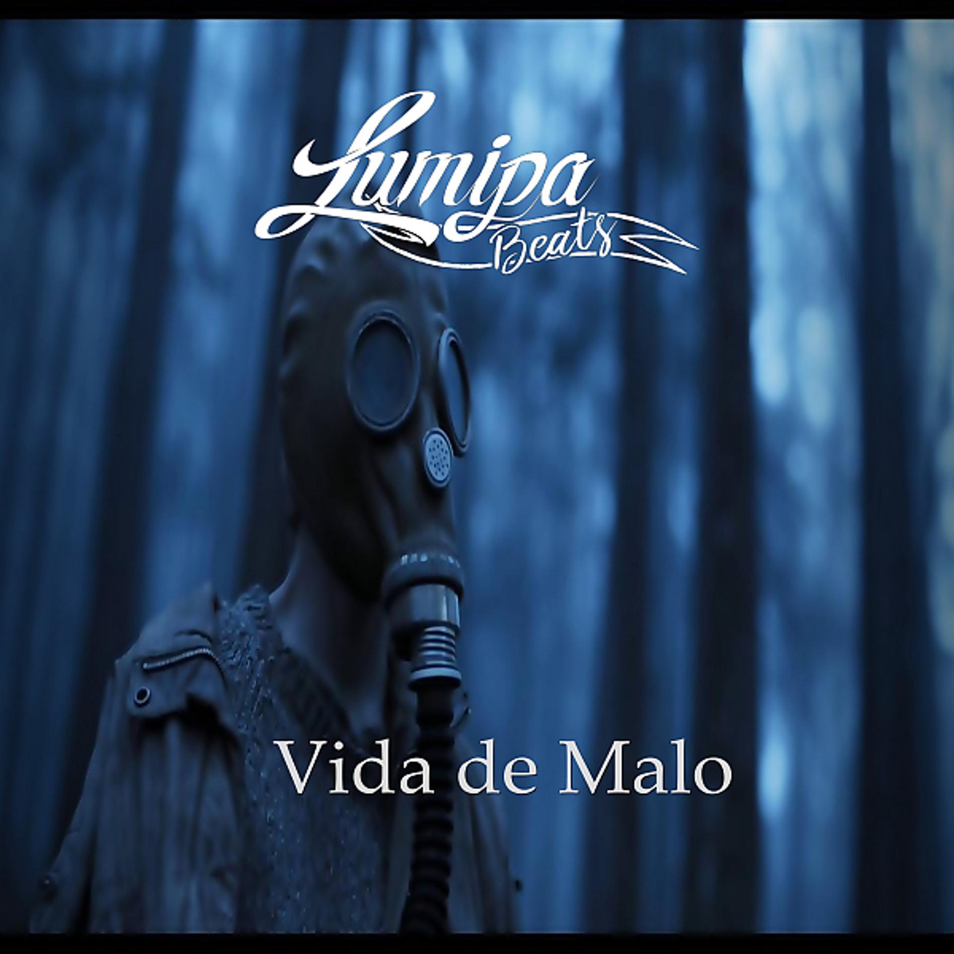 Постер альбома Vida de Malo