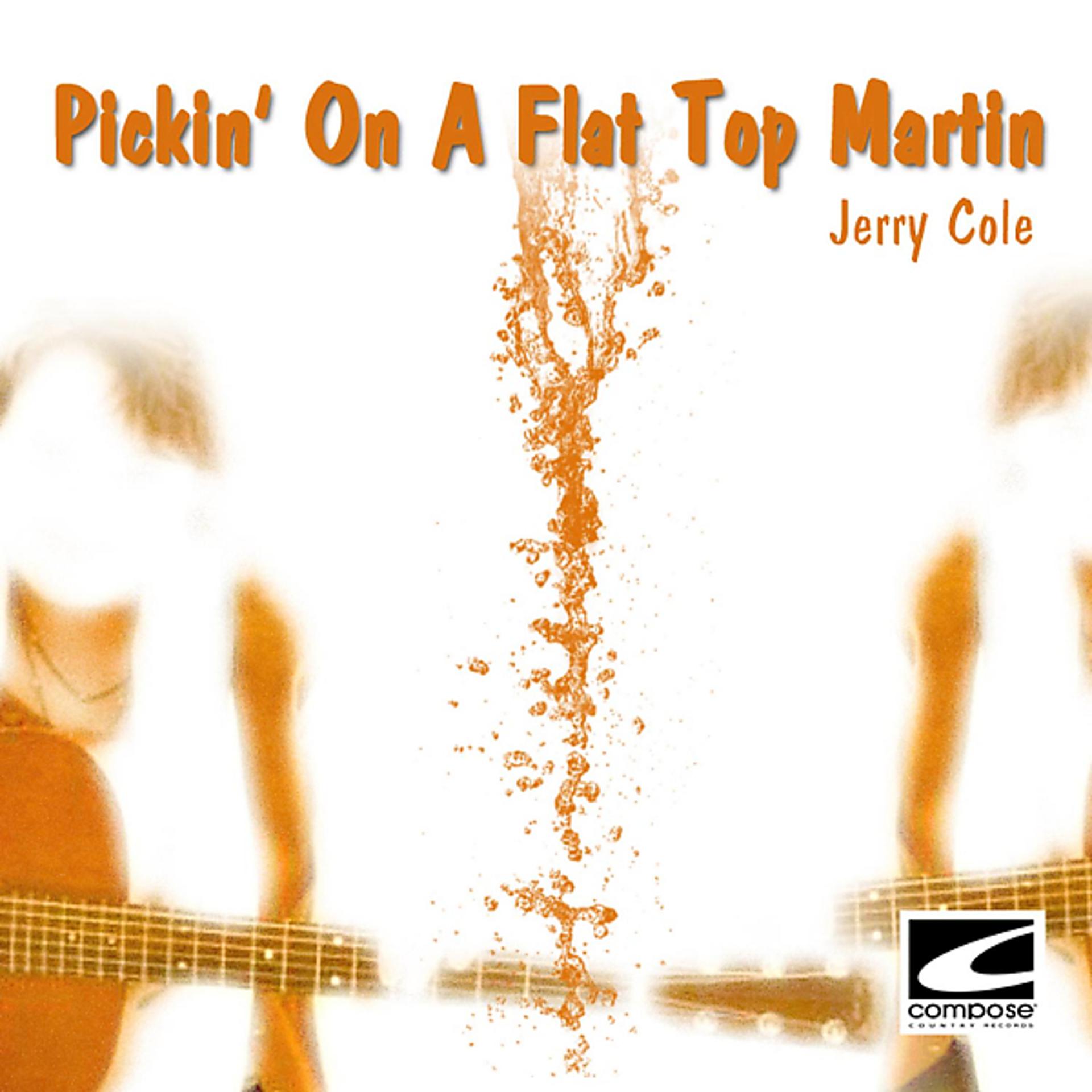 Постер альбома Pickin' On A Flat Top Martin