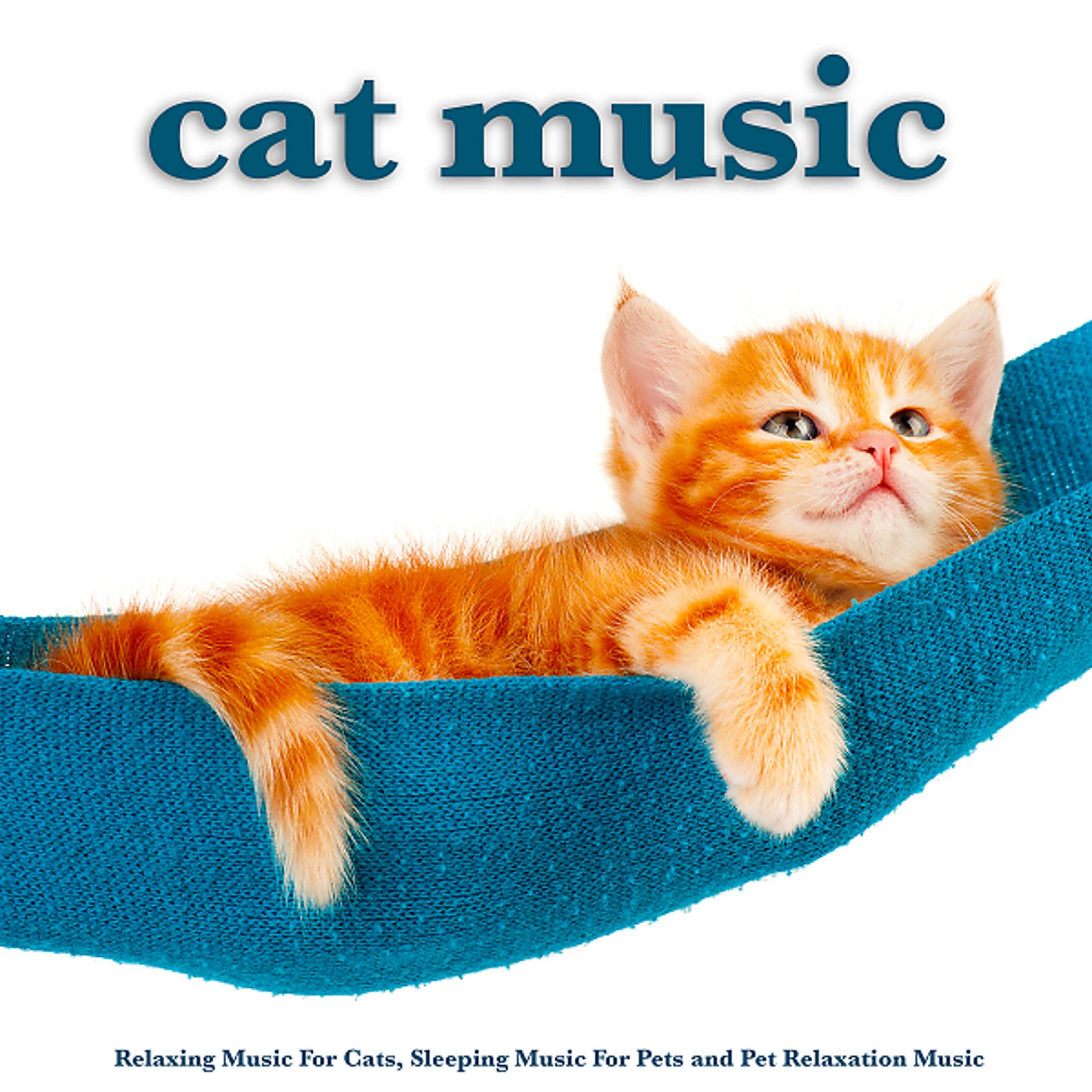 Постер альбома Cat Music: Relaxing Music For Cats, Sleeping Music For Pets and Pet Relaxation Music