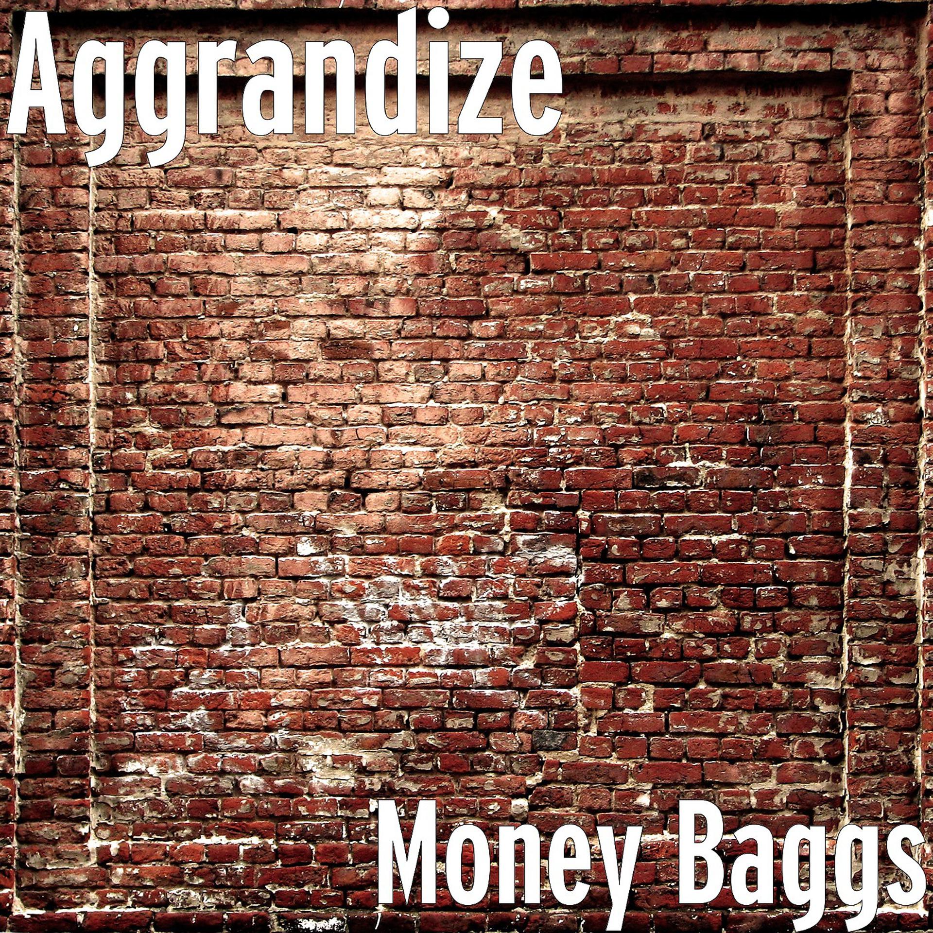 Постер альбома Money Baggs