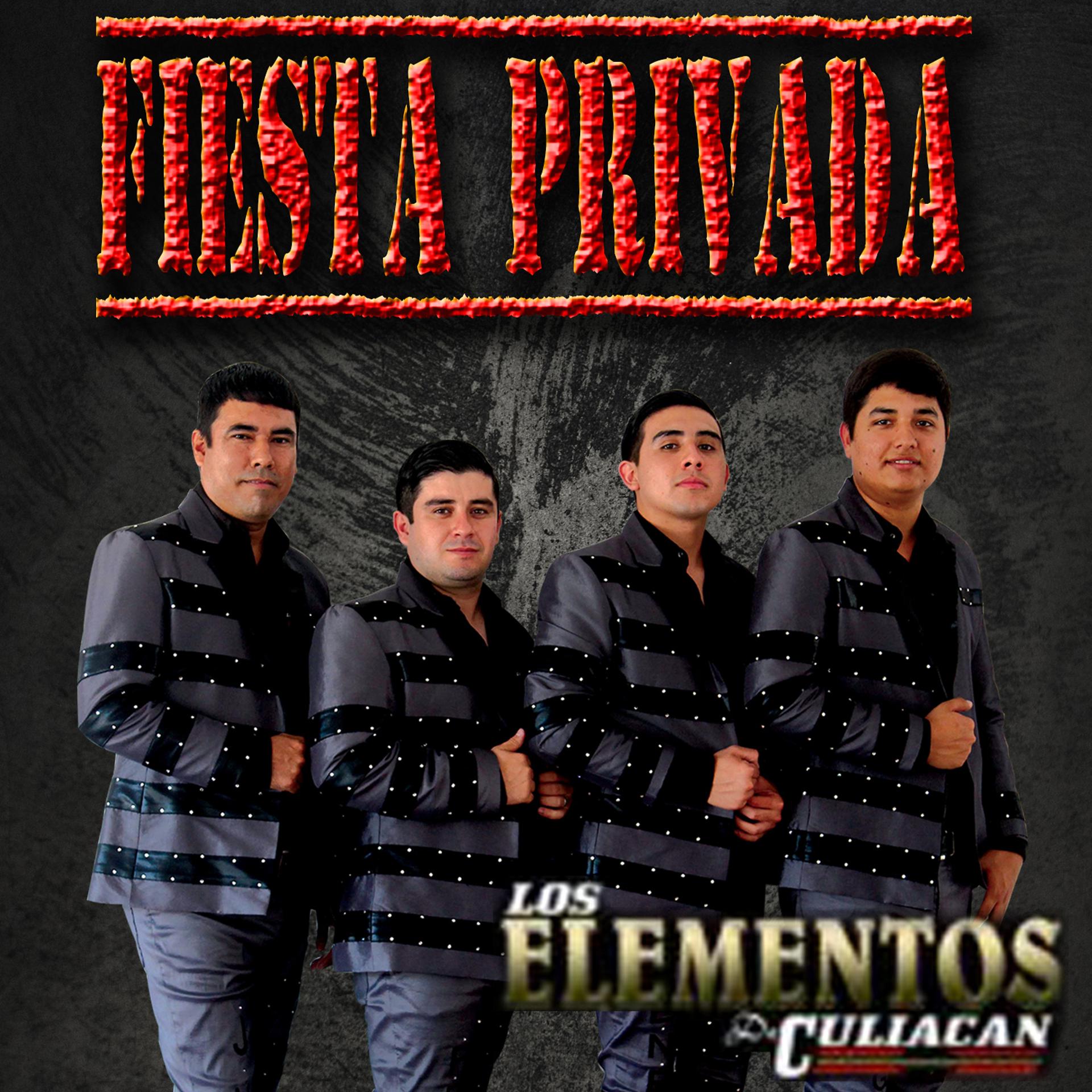 Постер альбома Fiesta Privada