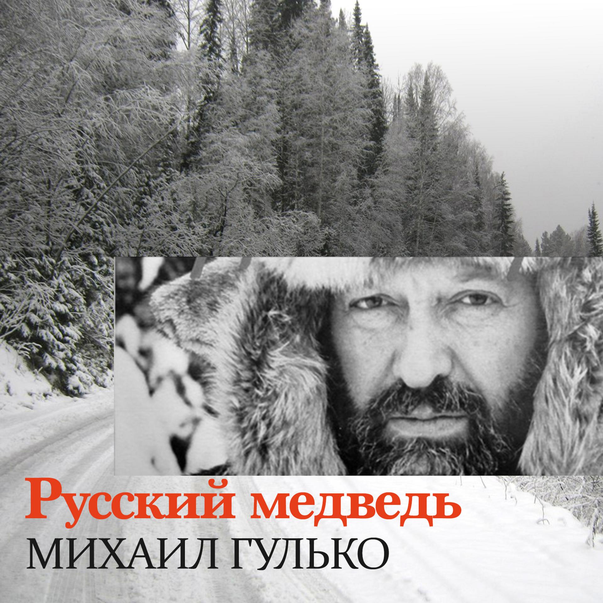 Постер альбома Русский Медведь - Single